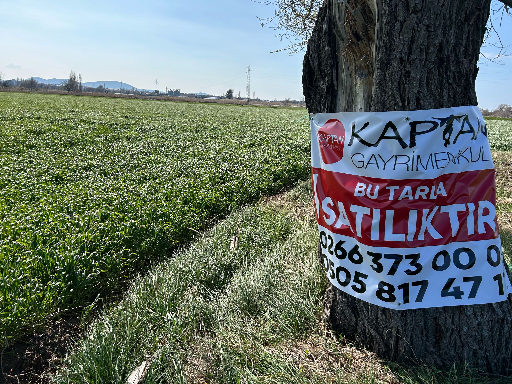 Geriş'te 15 Dönüm Satılık Tarla