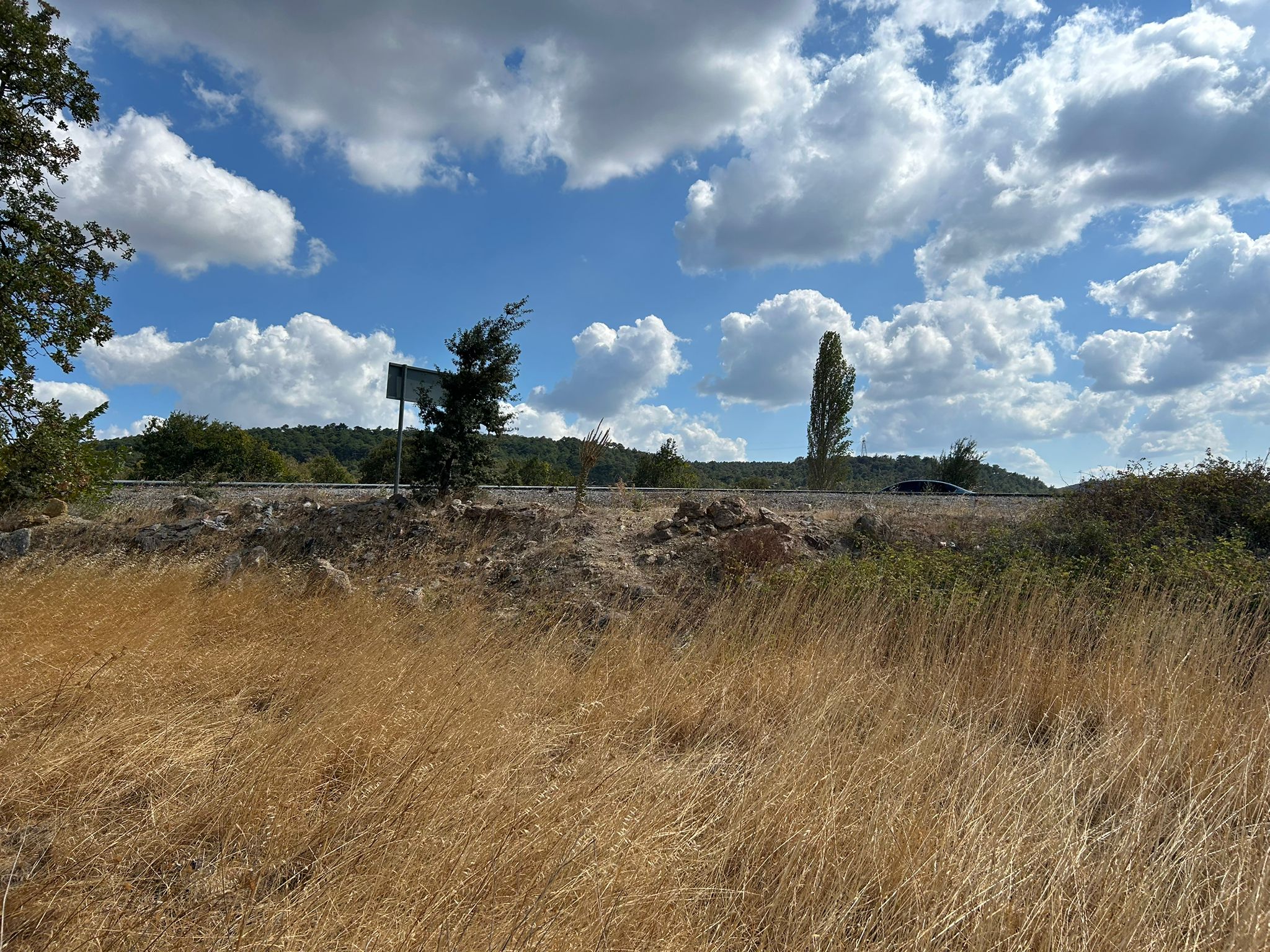 Edremit Balıkesir Ana Asfalt Yola 150 M Cephe Satılık 5 Dönüm Tarla