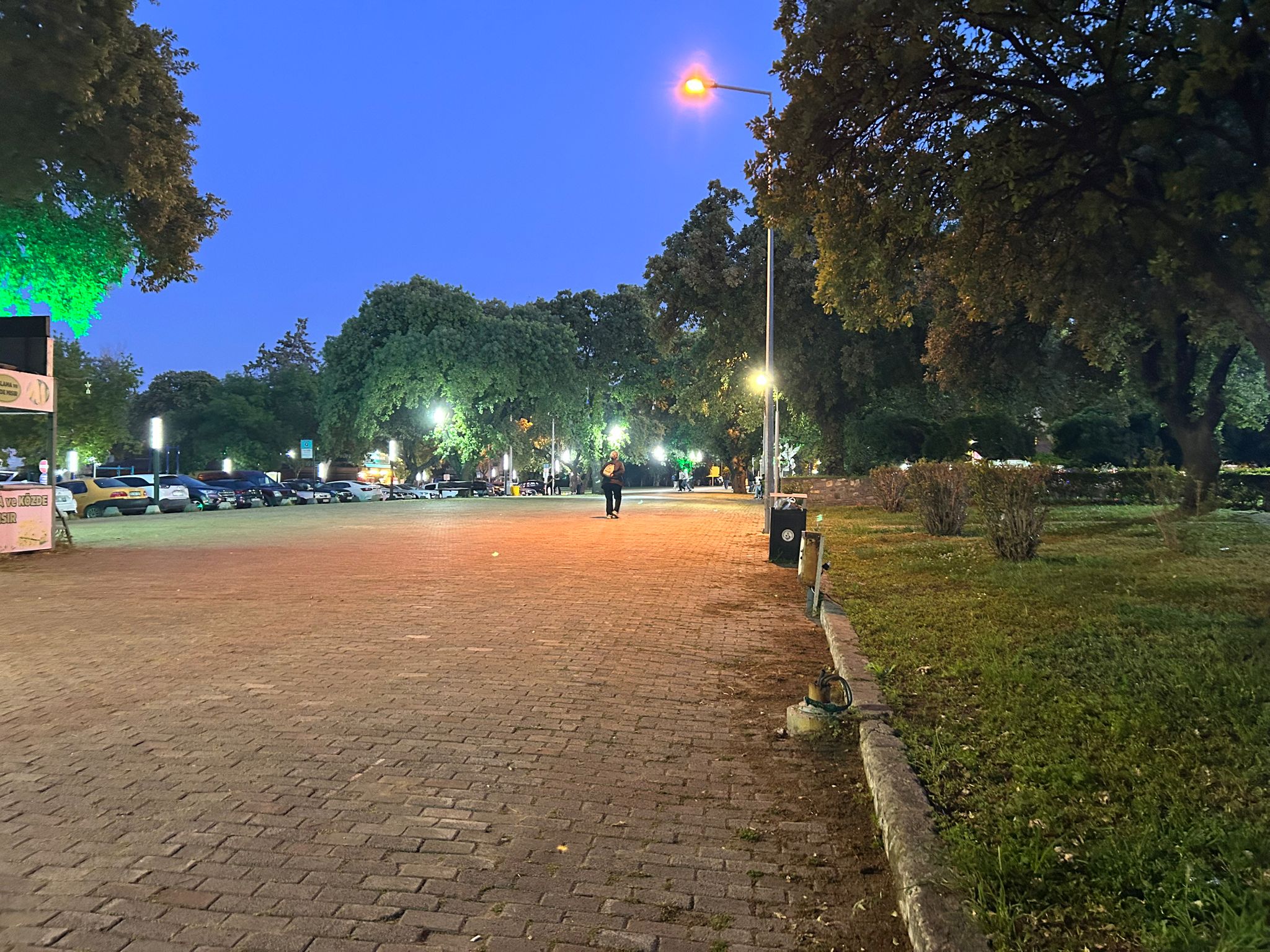 Burhaniye Ören Mahallesi’nde Doğa ve Deniz Manzaralı Satılık Villa Tipi Daire