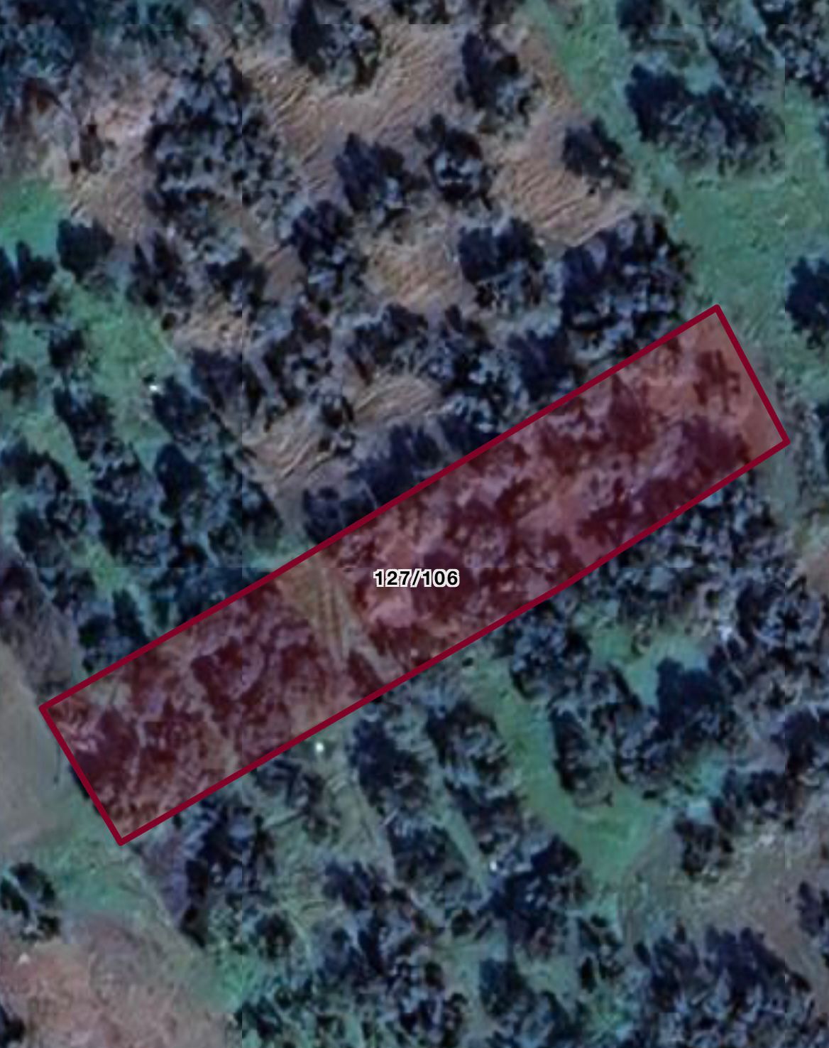 KIZIKLI’DA 1.422 m² DÜZ ZEMİN SATILIK ZEYTİNLİK