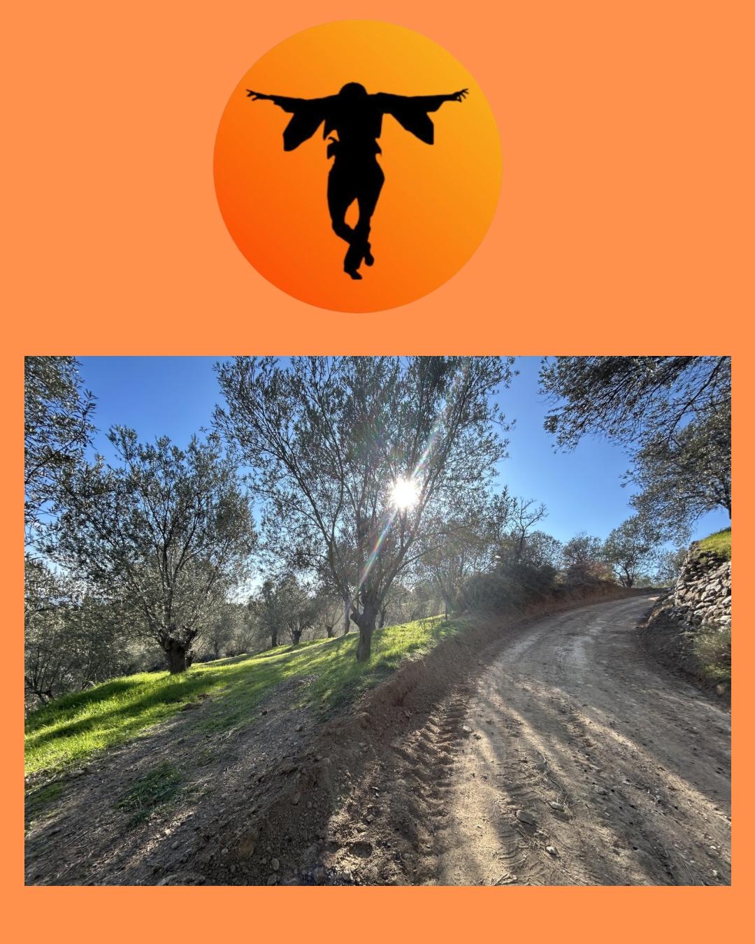 ÇANAKKALE AYVACIK ARIKLI’DA SATILIK 1,5 DÖNÜM  ZEYTİNLİK HİSSESİ