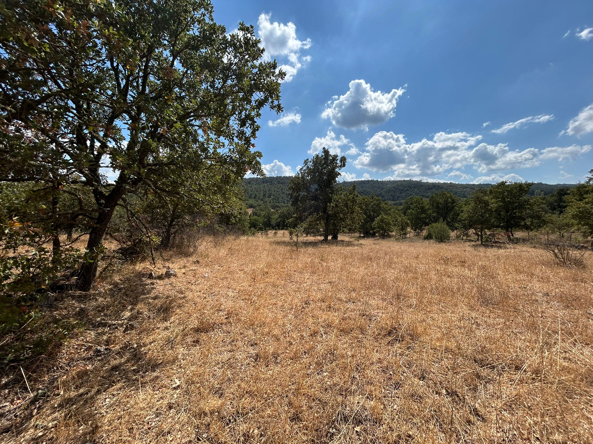 KÜÇÜKŞAPÇIDA SATILIK 3.3 DÖNÜM TARLA