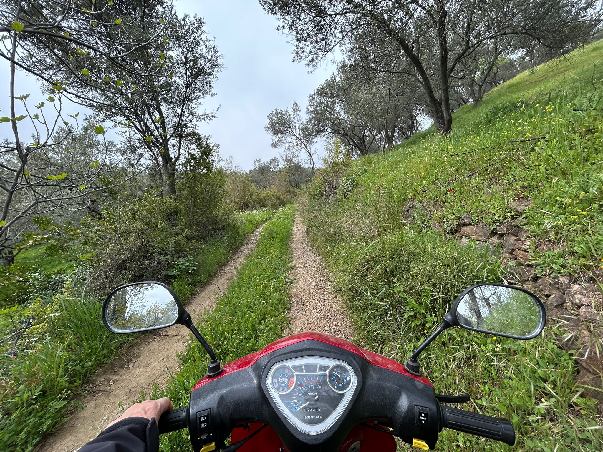 BALIKESİR EDREMİTİN EN GÖZDE KÖYÜNDE SATILIK 2 DÖNÜM ZEYTİNLİK