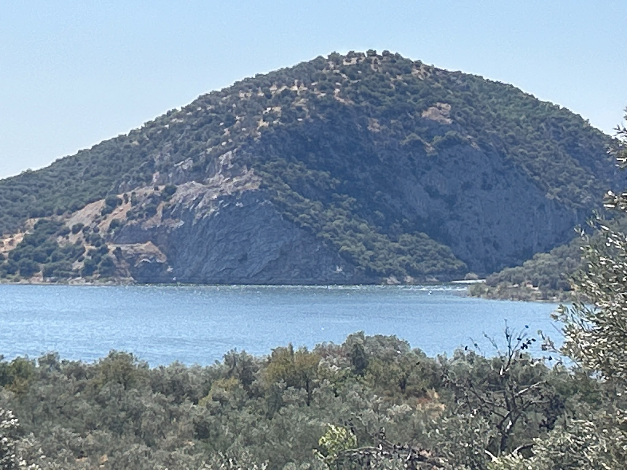 HAVRAN SARNIÇ’TA FULL GÖL MANZARALI SATILIK 3183 M2 ZEYTİNLİK