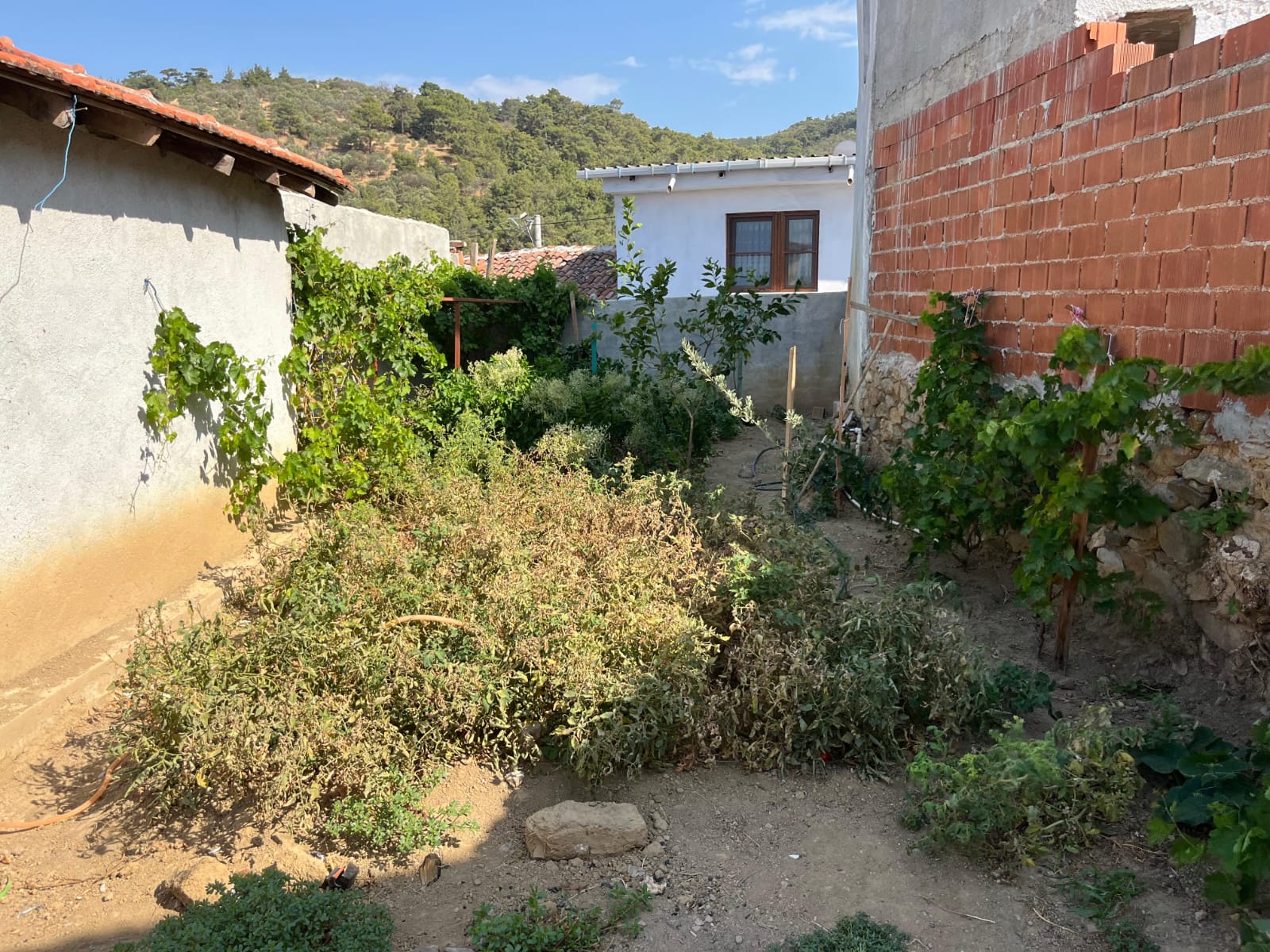 BALIKESİR HAVRAN KÜÇÜKDERE’DE KÖY İÇİ 181 M² SATILIK ARSA