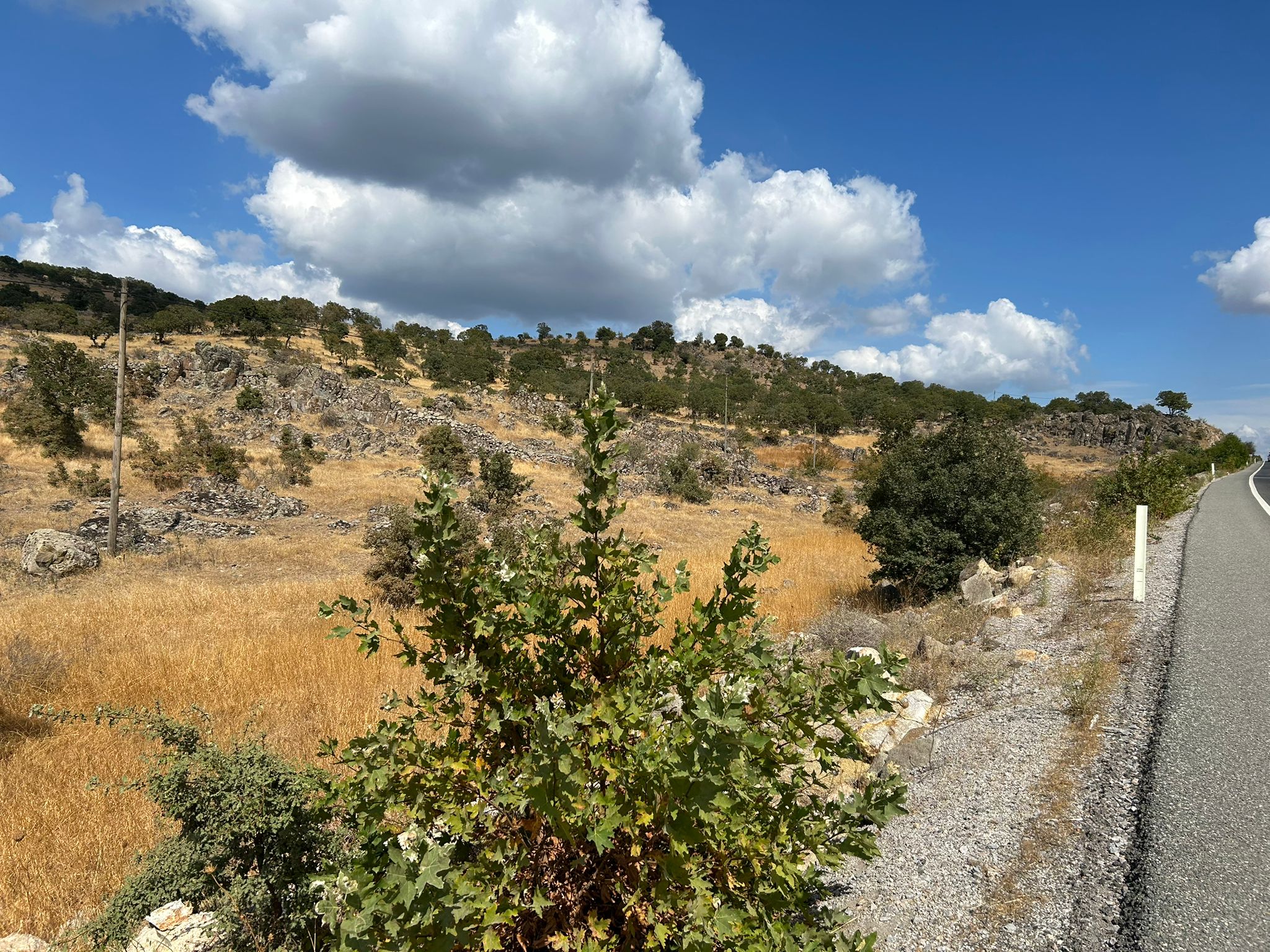 Edremit Balıkesir Ana Asfalt Yola 150 M Cephe Satılık 5 Dönüm Tarla