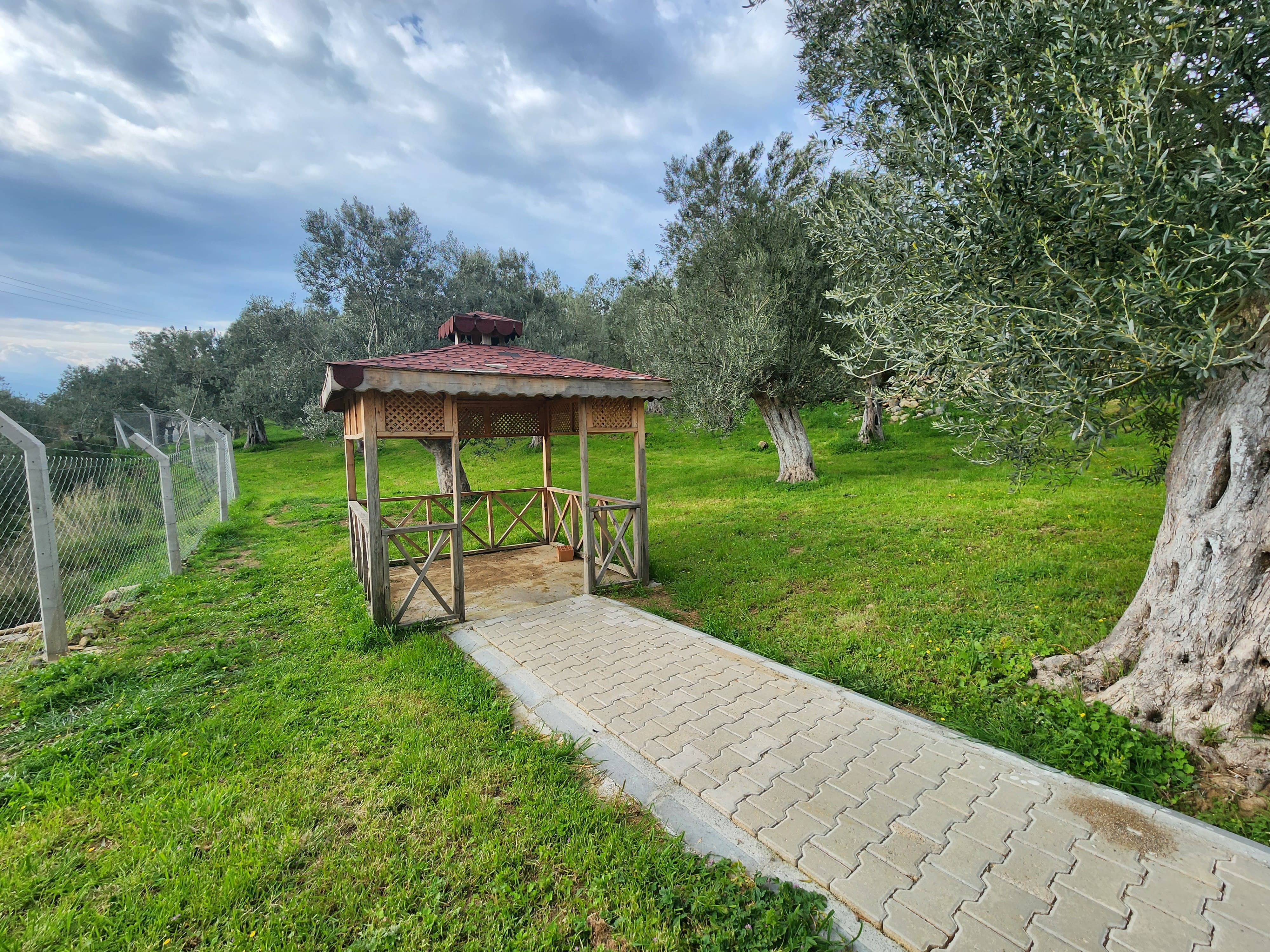 ZEYTİNLİ DE İÇİNDE EVİ OLAN SUYU VE ELEKTRİĞİ BULUNAN SATILIK ZEYTİNLİK