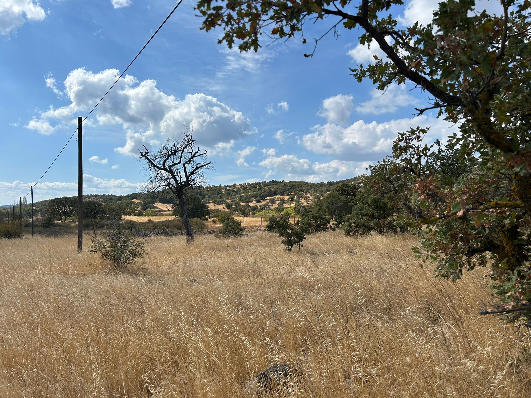Edremit Balıkesir Ana Asfalt Yola 150 M Cephe Satılık 5 Dönüm Tarla