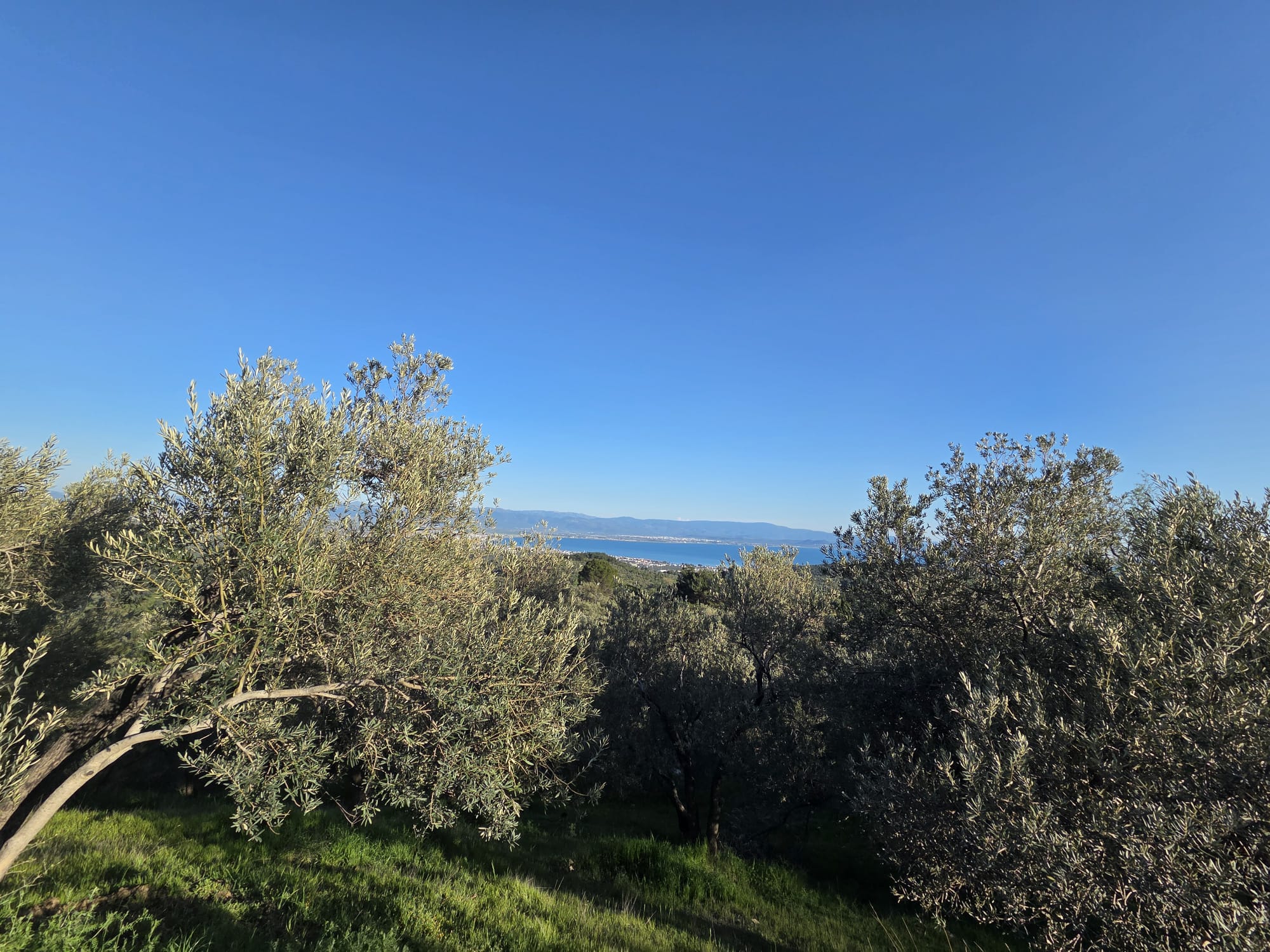 Balıkesir Edremit Altınoluk Mahallesi’nde, doğayla iç içe eşsiz bir yatırım fırsatı!