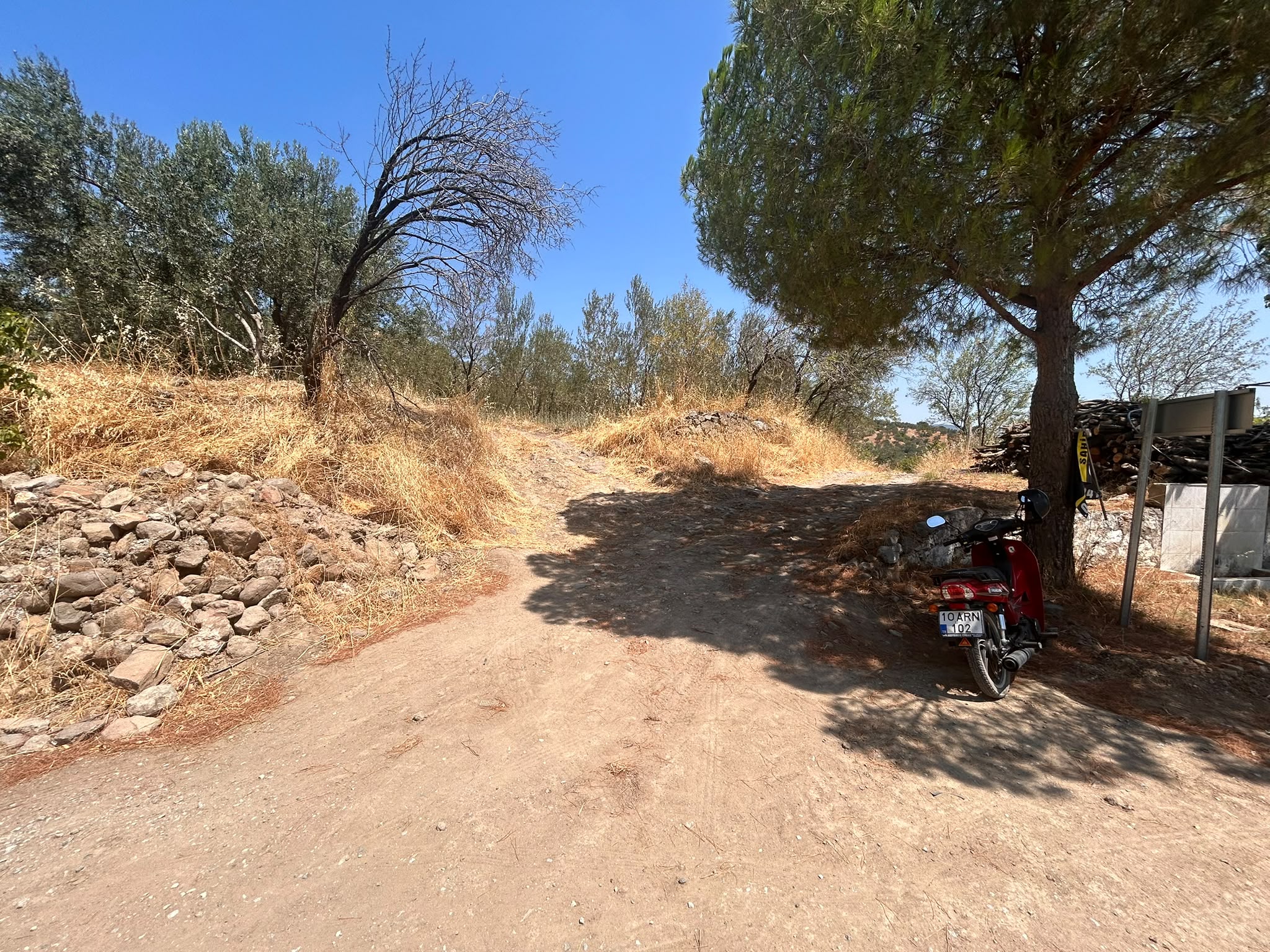 BALIKESİR HAVRAN SARNIÇ MAHALLESİNDE SATILIK ZEYTİNLİK