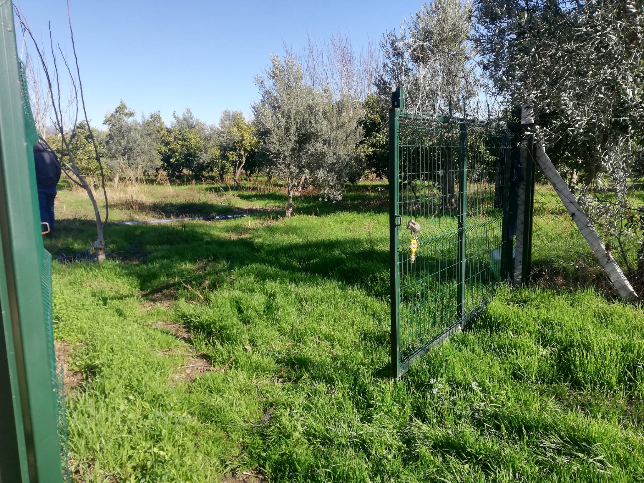 Tekke 'de 2 Dönümlük Hobi Bahçesi