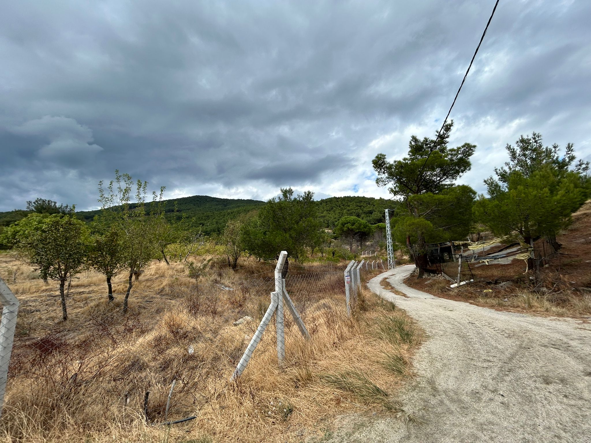 BALIKESİR EDREMİT DERELİ’DE SATILIK BAHÇE