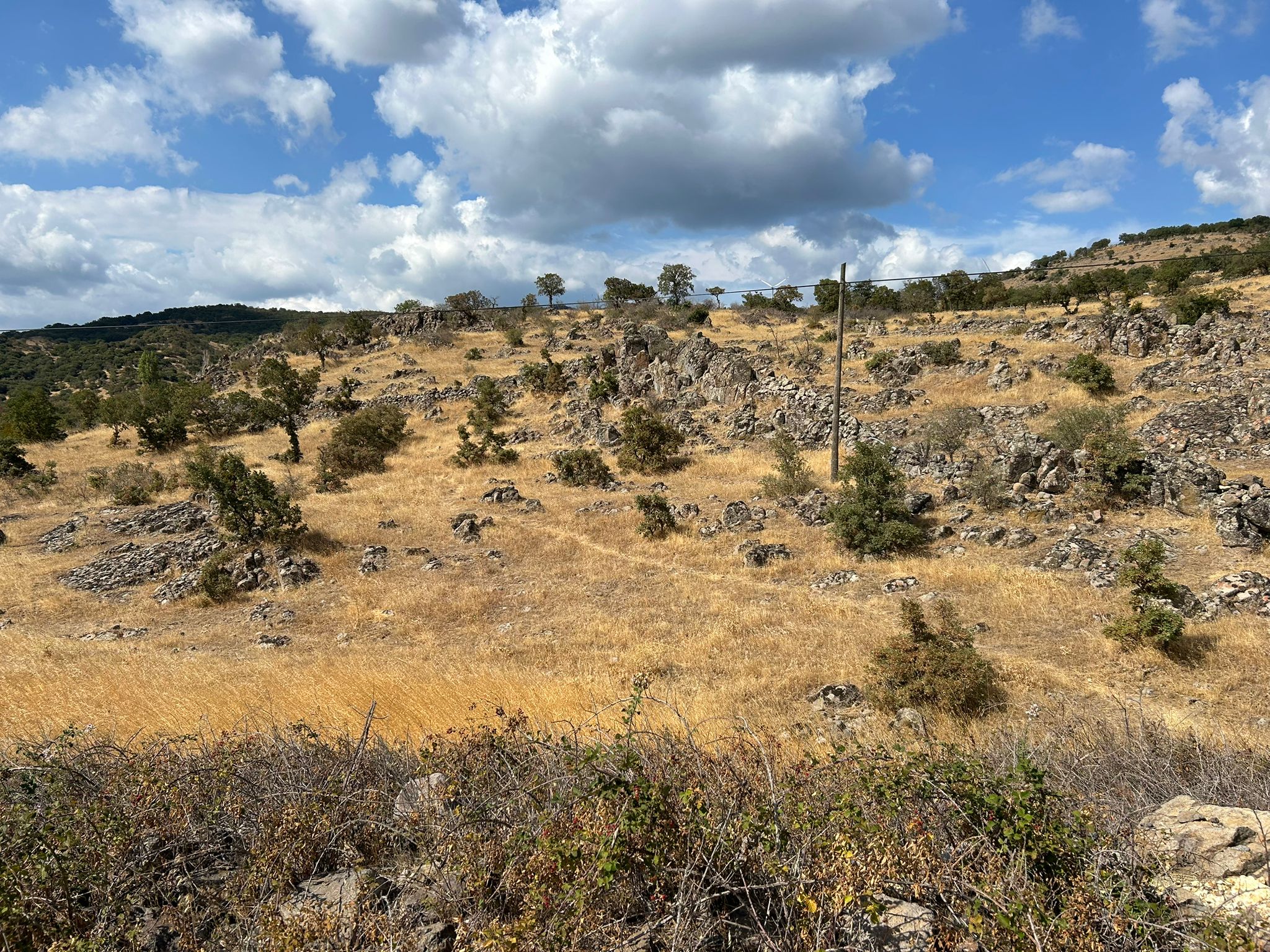 Edremit Balıkesir Ana Asfalt Yola 150 M Cephe Satılık 5 Dönüm Tarla