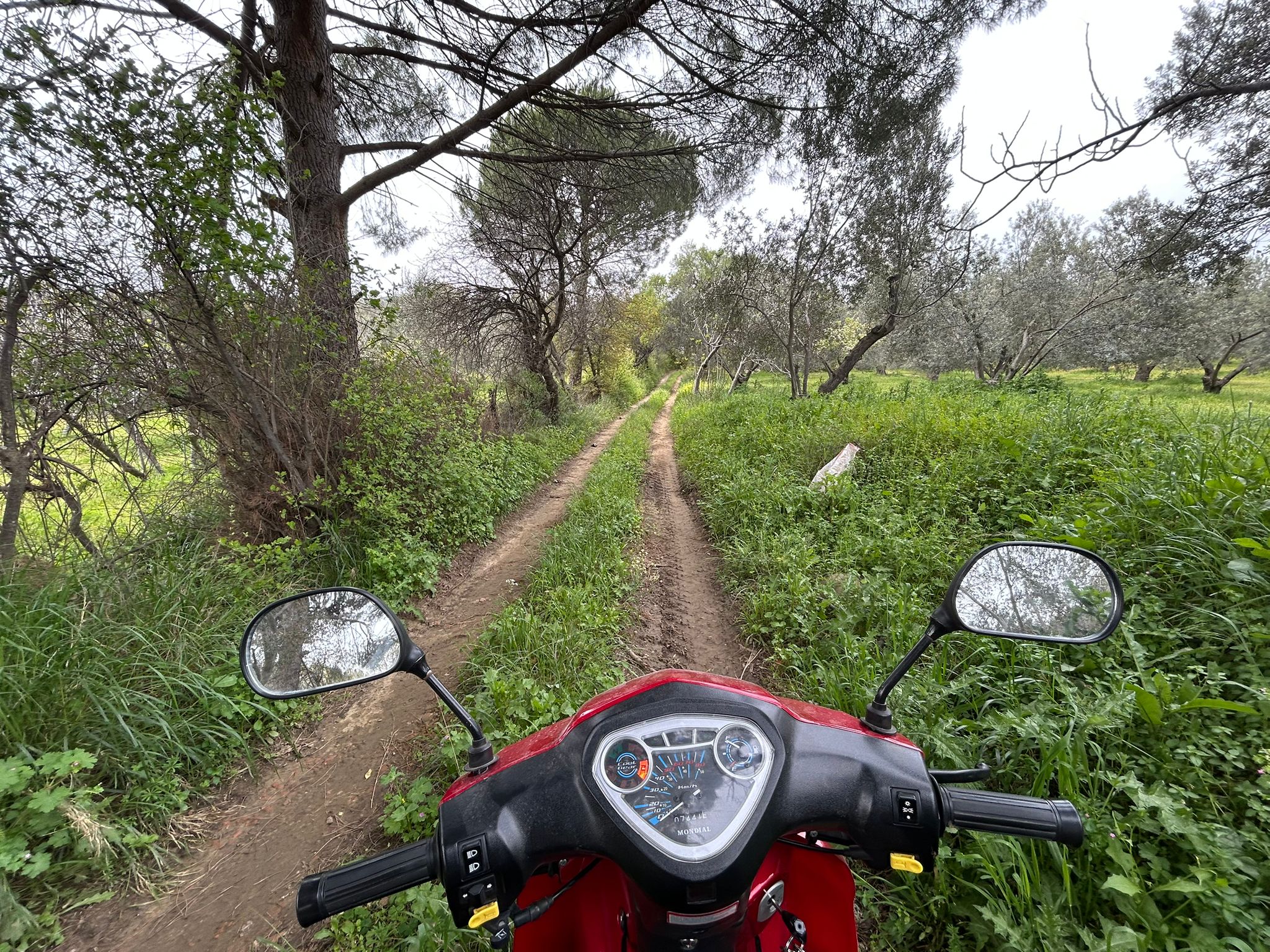 BALIKESİR EDREMİTİN EN GÖZDE KÖYÜNDE SATILIK 2 DÖNÜM ZEYTİNLİK