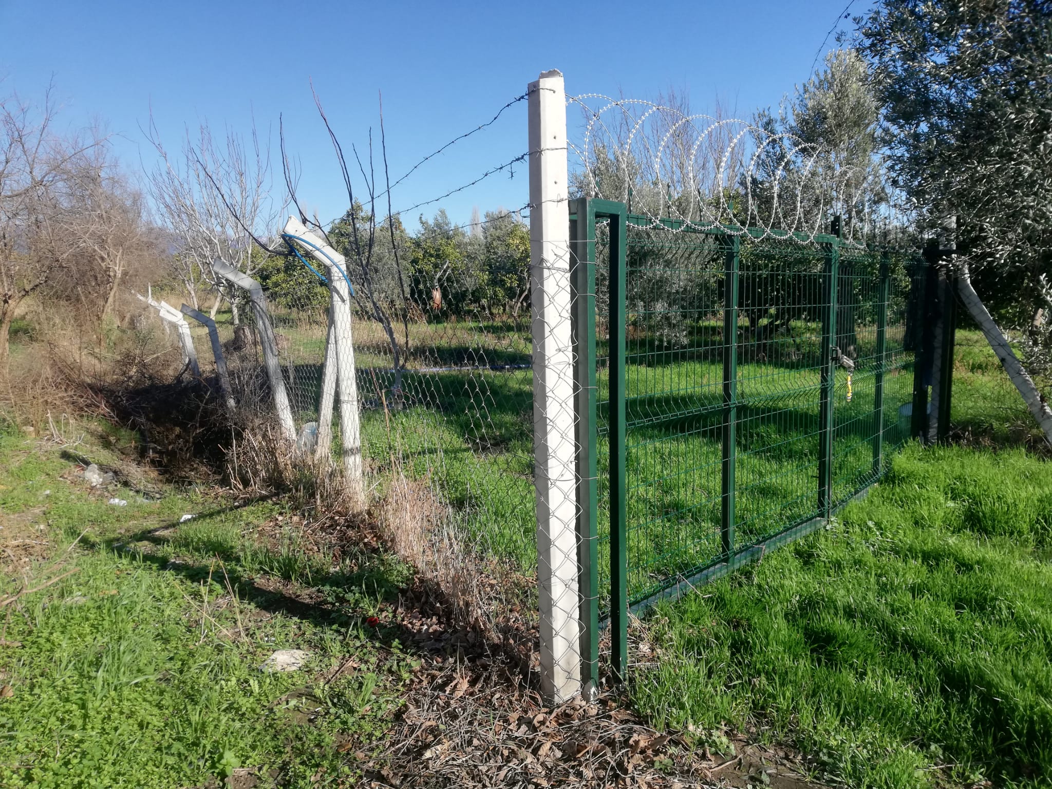 Tekke 'de 2 Dönümlük Hobi Bahçesi