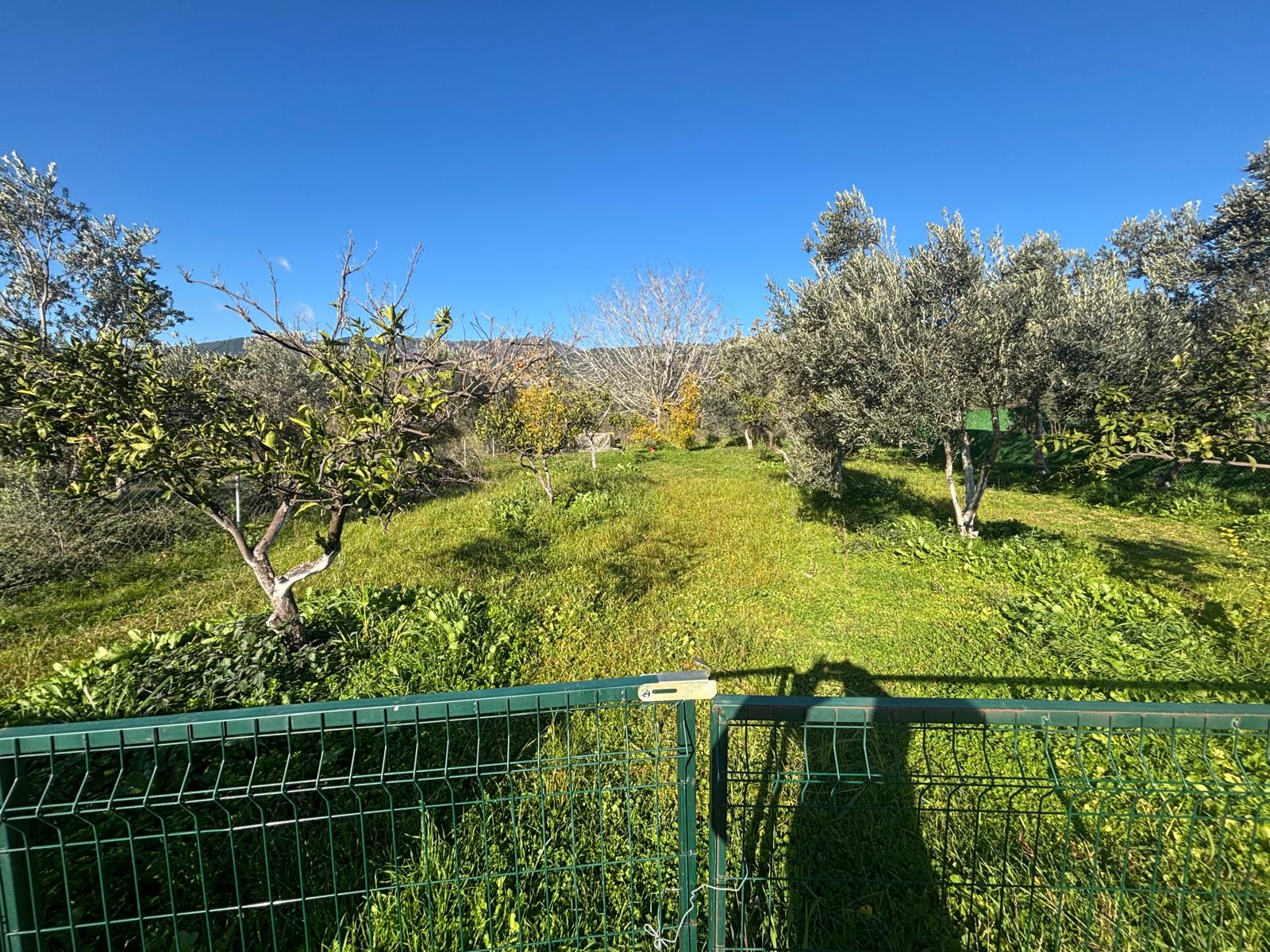 BALIKESİR EDREMİT KIZILKEÇİLİ’DE SATILIK 440 m² HOBİ BAHÇESİ