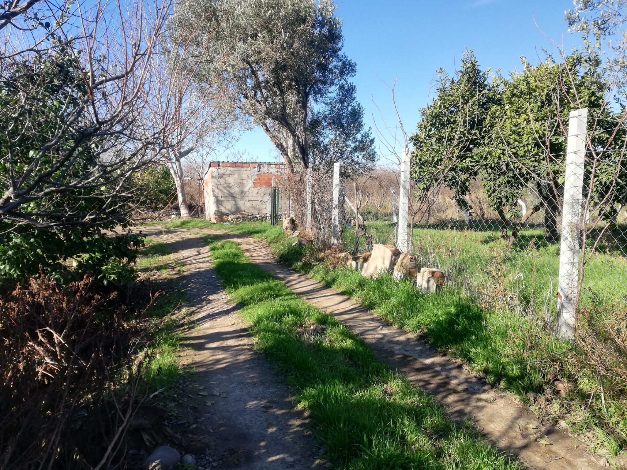 Tekke 'de 2 Dönümlük Hobi Bahçesi