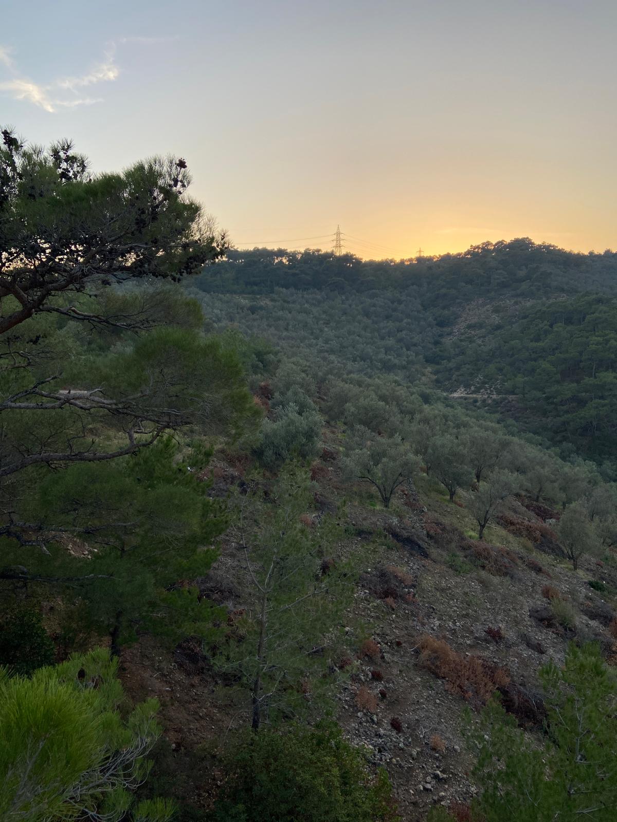 BALIKESİR EDREMİT ALTINOLUK’TA DENİZ MANZARALI 34 DÖNÜM SATILIK 2B ARAZİSİ