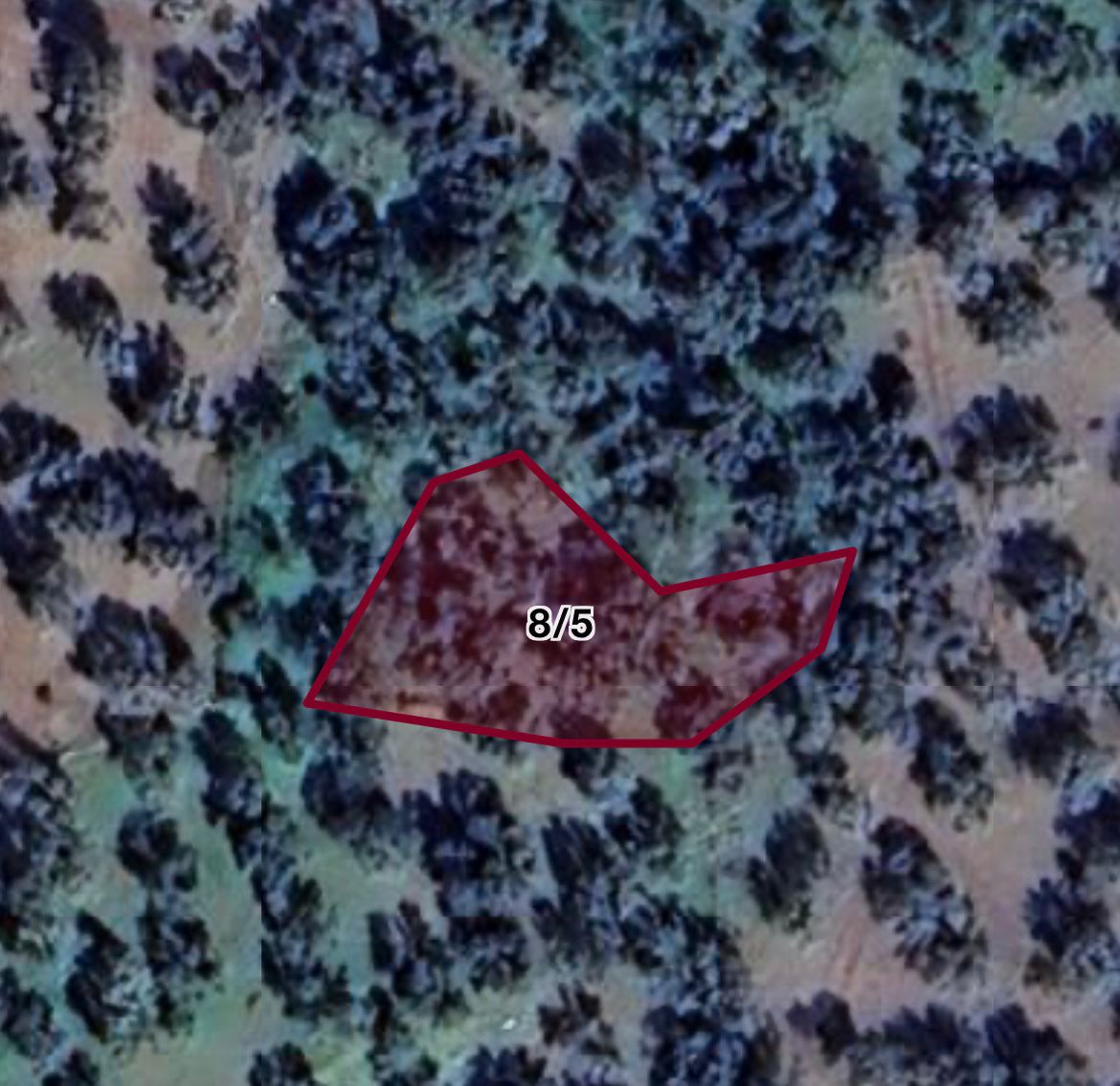 HAVRAN EBUBEKİR DE 671,00 M2 Satılık Zeytinlik