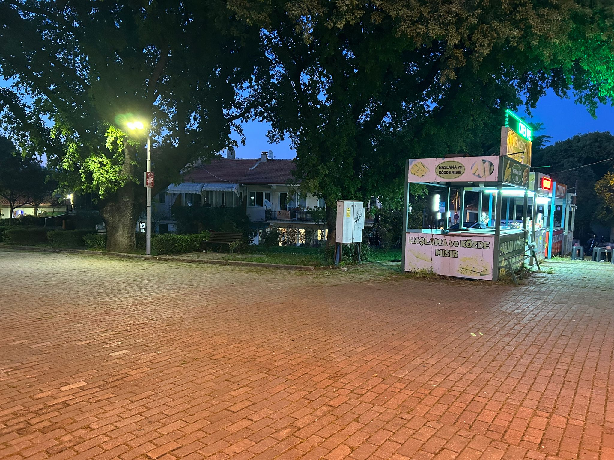 Burhaniye Ören Mahallesi’nde Doğa ve Deniz Manzaralı Satılık Villa Tipi Daire