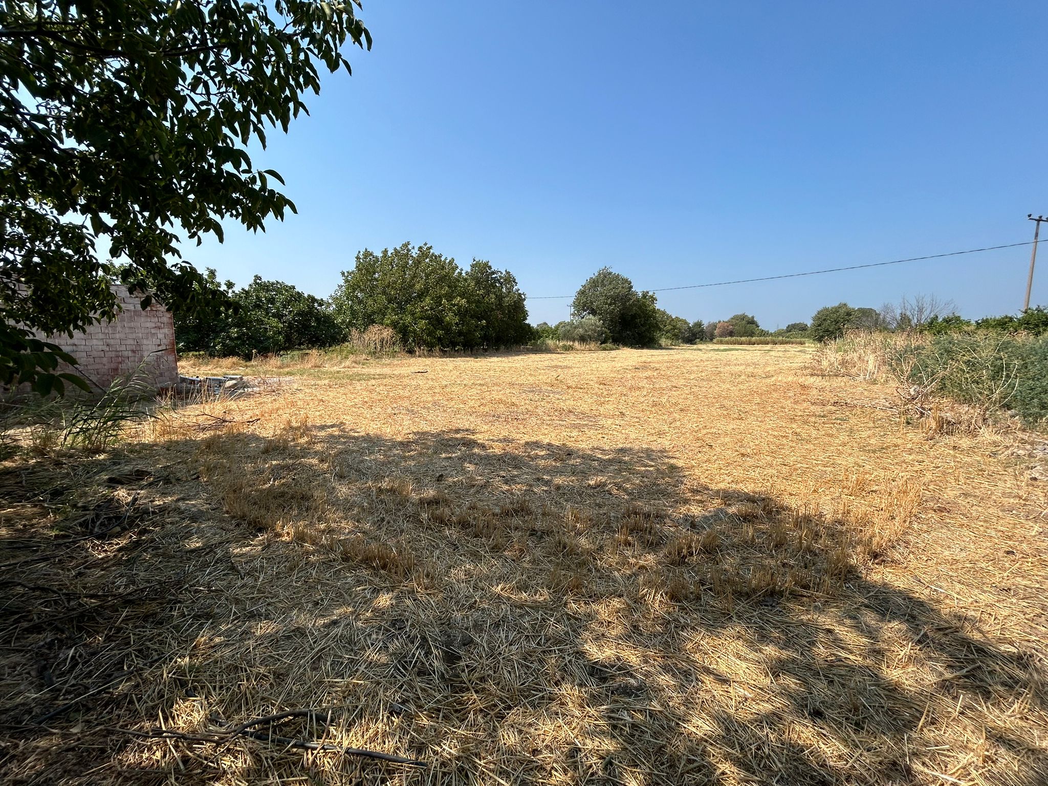 Adramis Termal Otel Arkasında 7,5 Dönüm Satılık Tarla