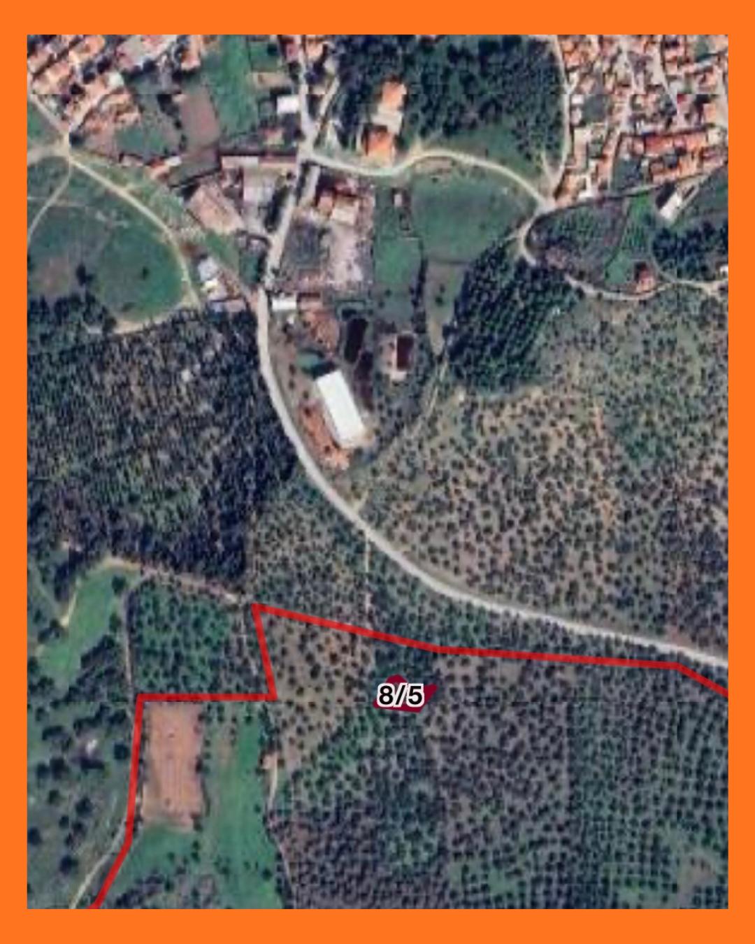 HAVRAN EBUBEKİR DE 671,00 M2 Satılık Zeytinlik