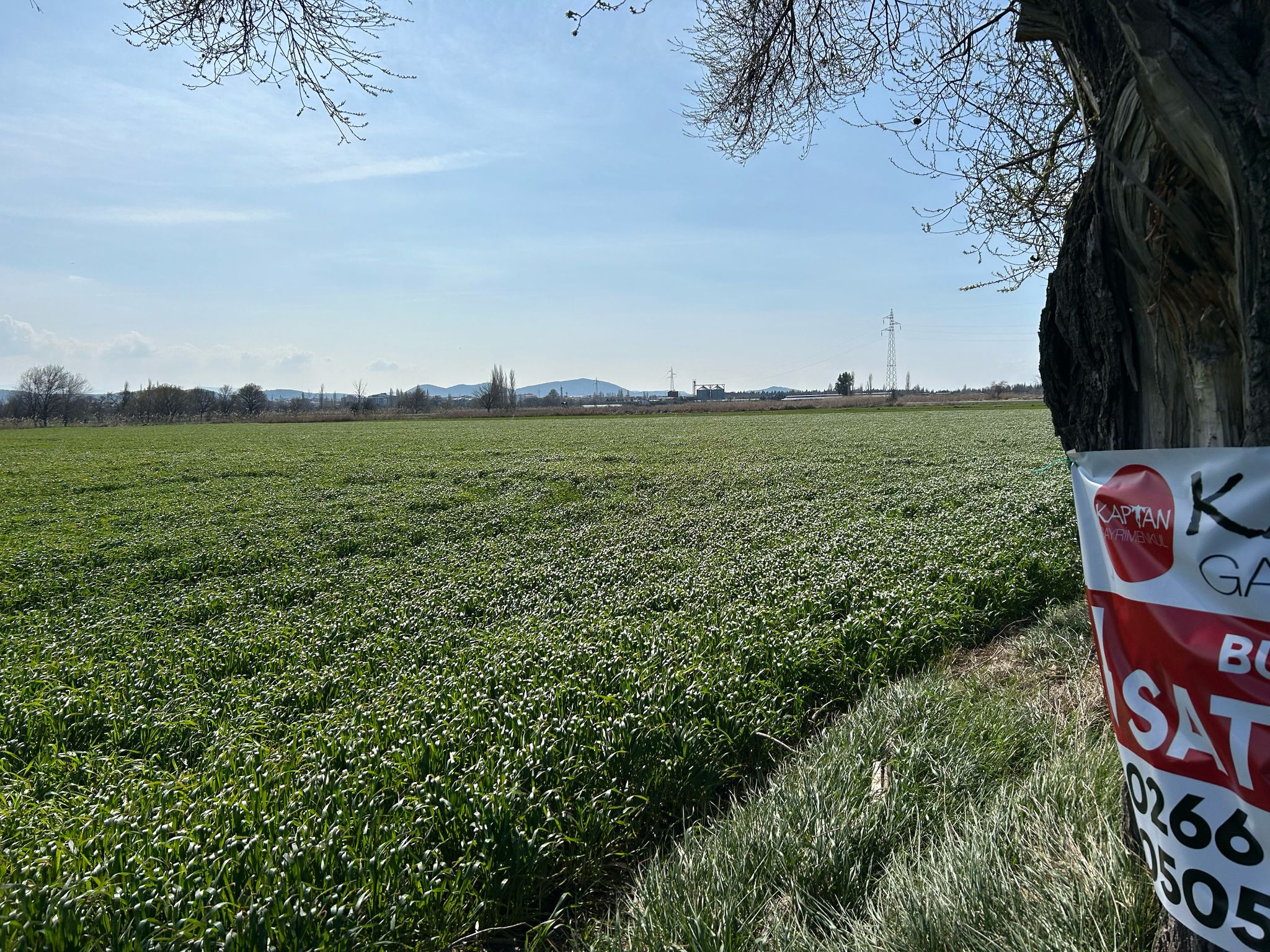 Geriş'te 15 Dönüm Satılık Tarla