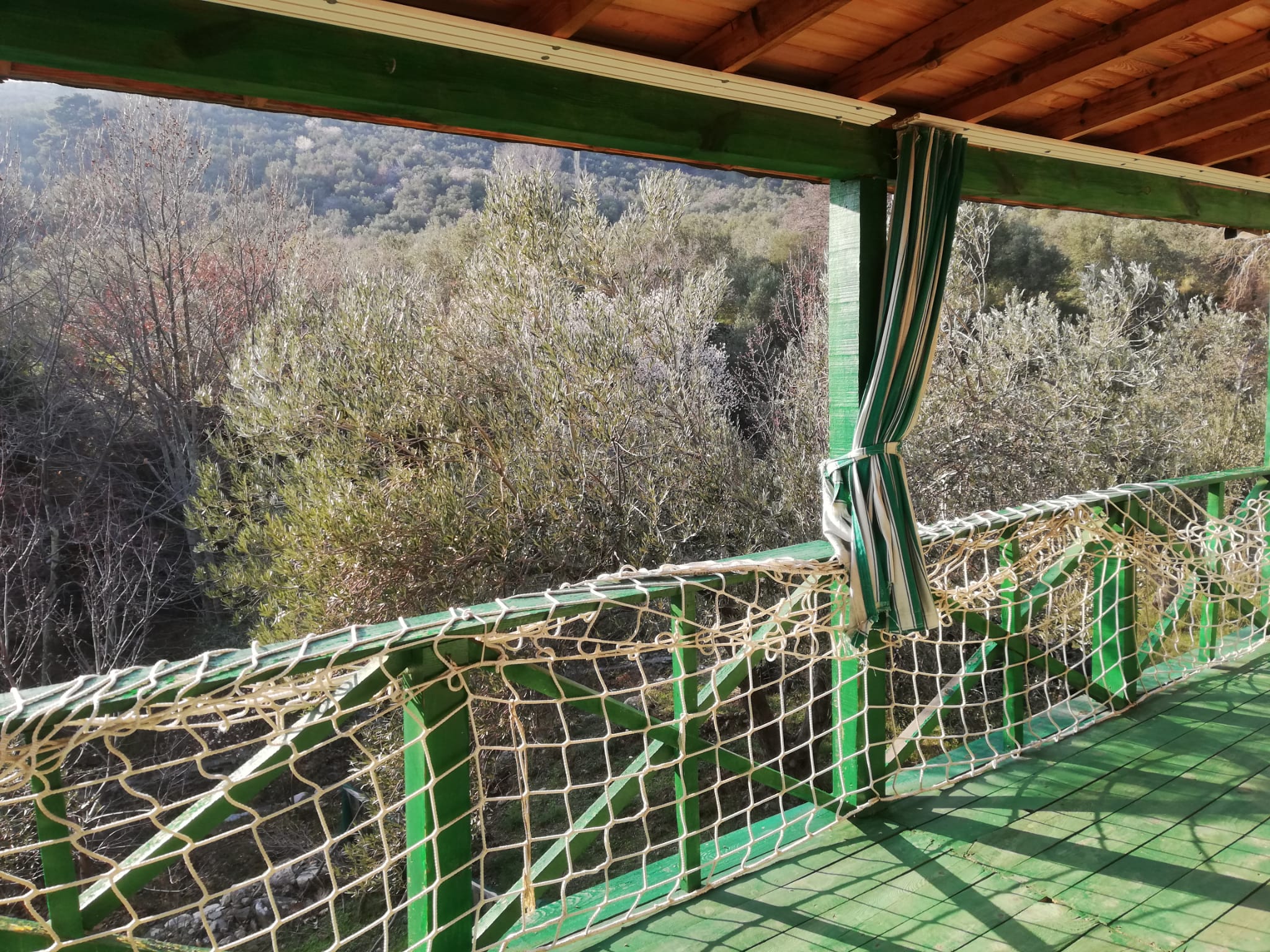 Kızılkeçili 'de Satılık 3 Dönüm Harika Zeytinlik