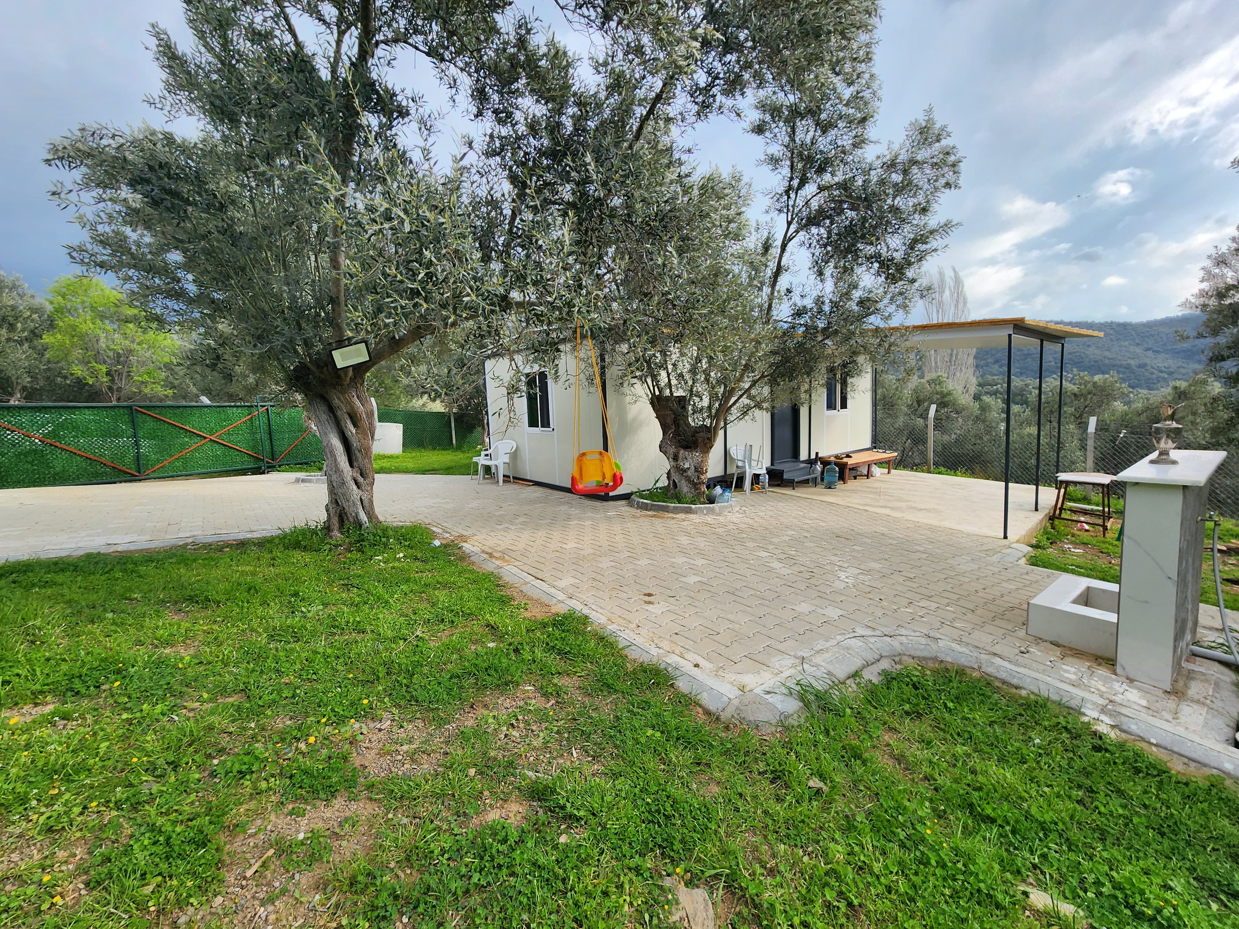 ZEYTİNLİ DE İÇİNDE EVİ OLAN SUYU VE ELEKTRİĞİ BULUNAN SATILIK ZEYTİNLİK