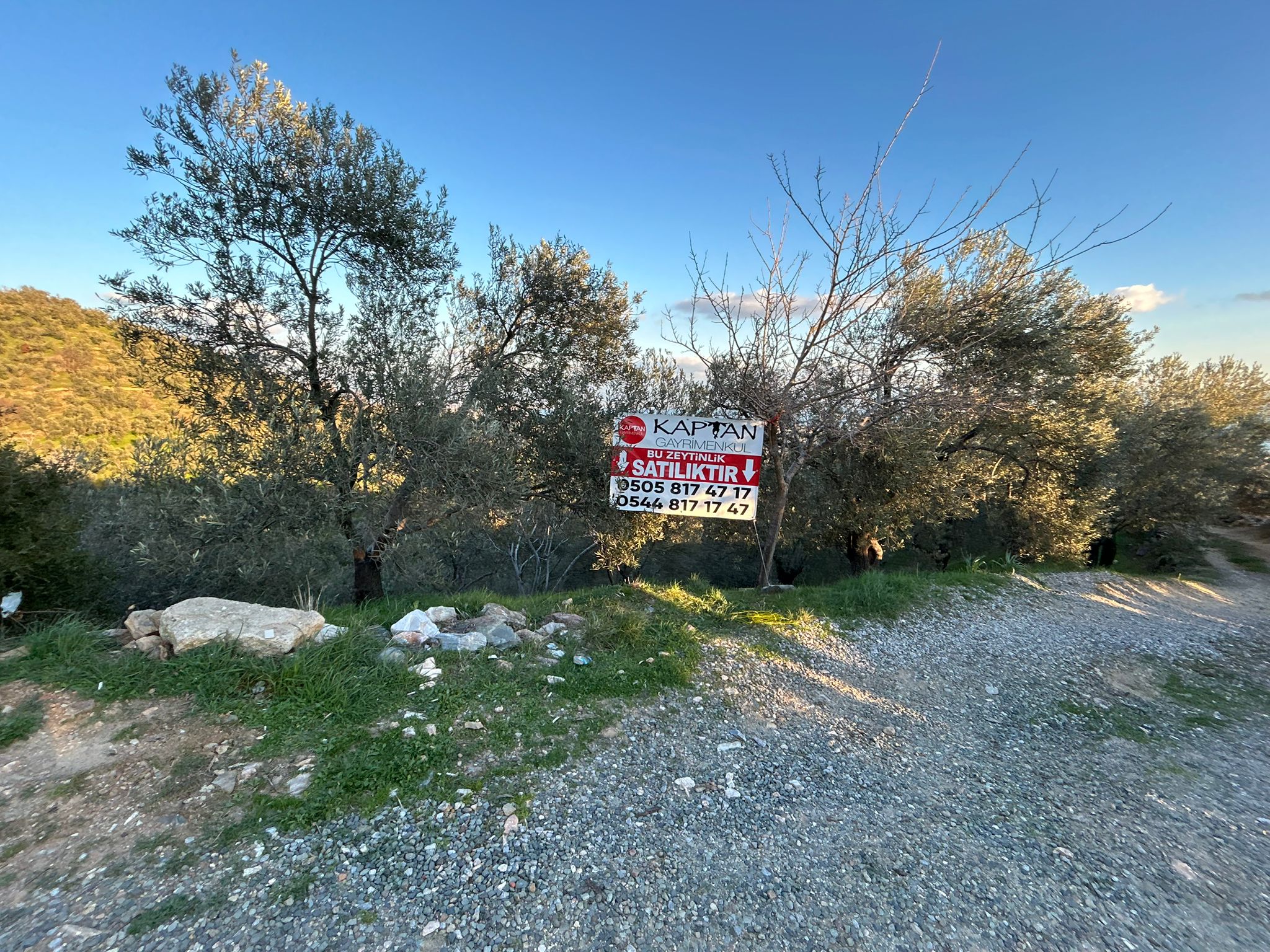 Arıtaşı 'nda Harika Konum Deniz Manzaralı 4,6 Dönüm Zeytinlik