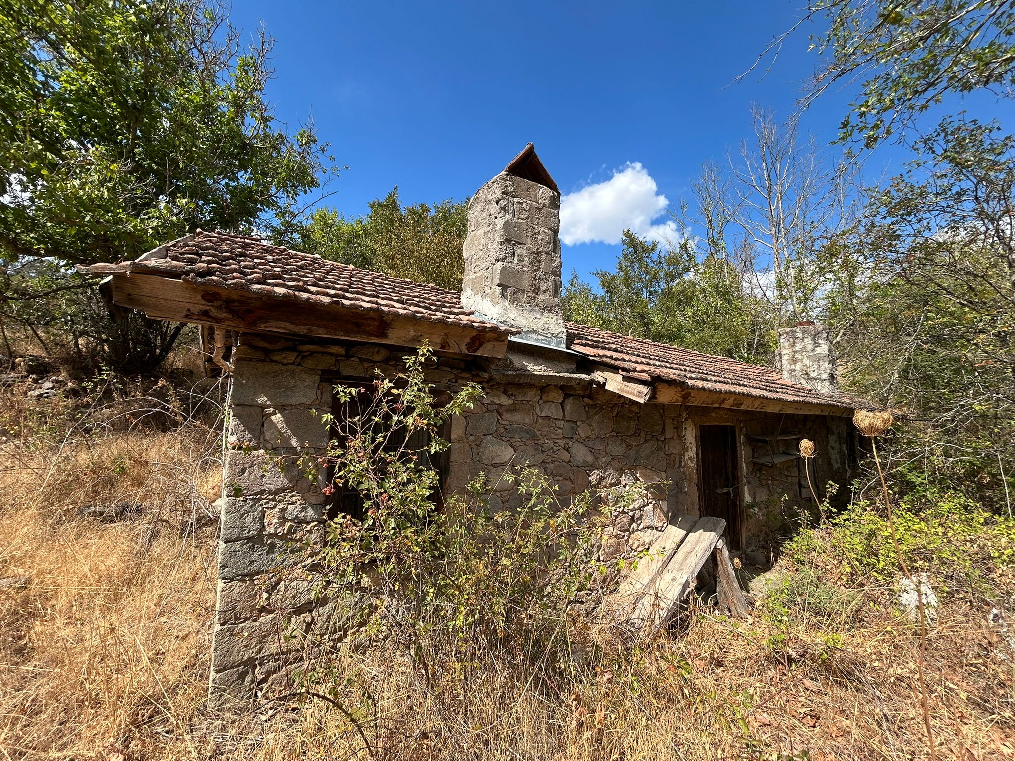 SATILIK 200 YILLIK DEĞİRMEN