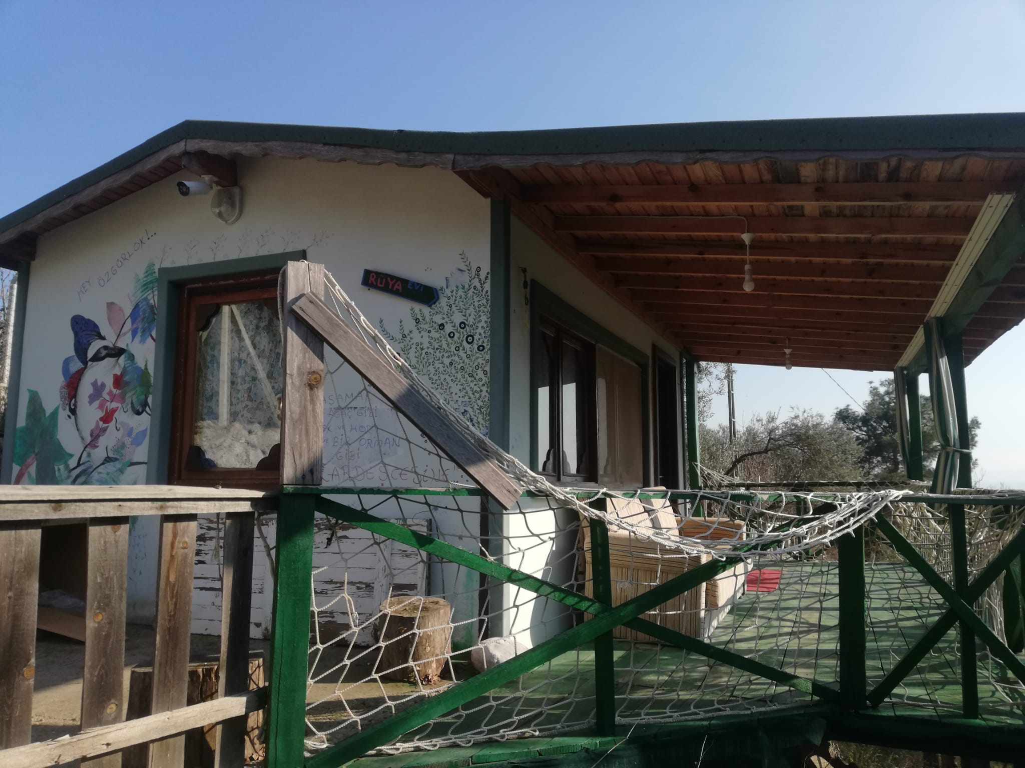 Kızılkeçili 'de Satılık 3 Dönüm Harika Zeytinlik