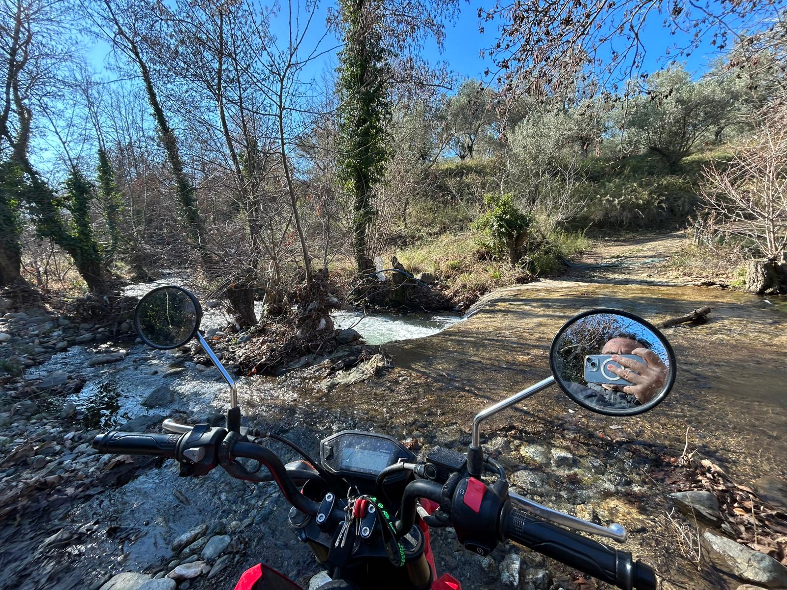 Dereli 'de Satılık 3659 M2 Müstakil Tapulu Zeytinlik