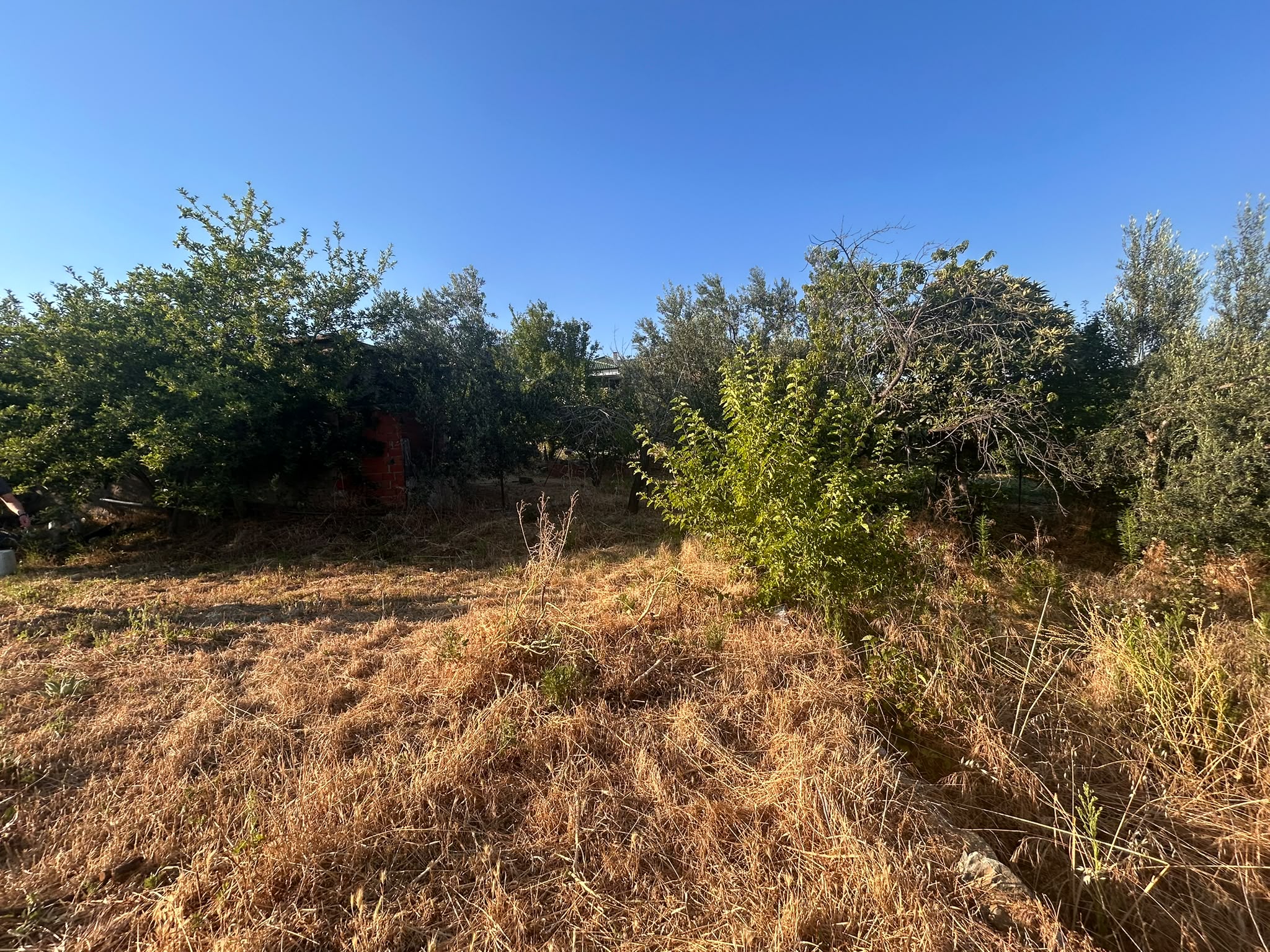 BALIKESİR EDREMİT ARITAŞI MAHALLESİ'NDE SATILIK 3.727 m² ZEYTİNLİK