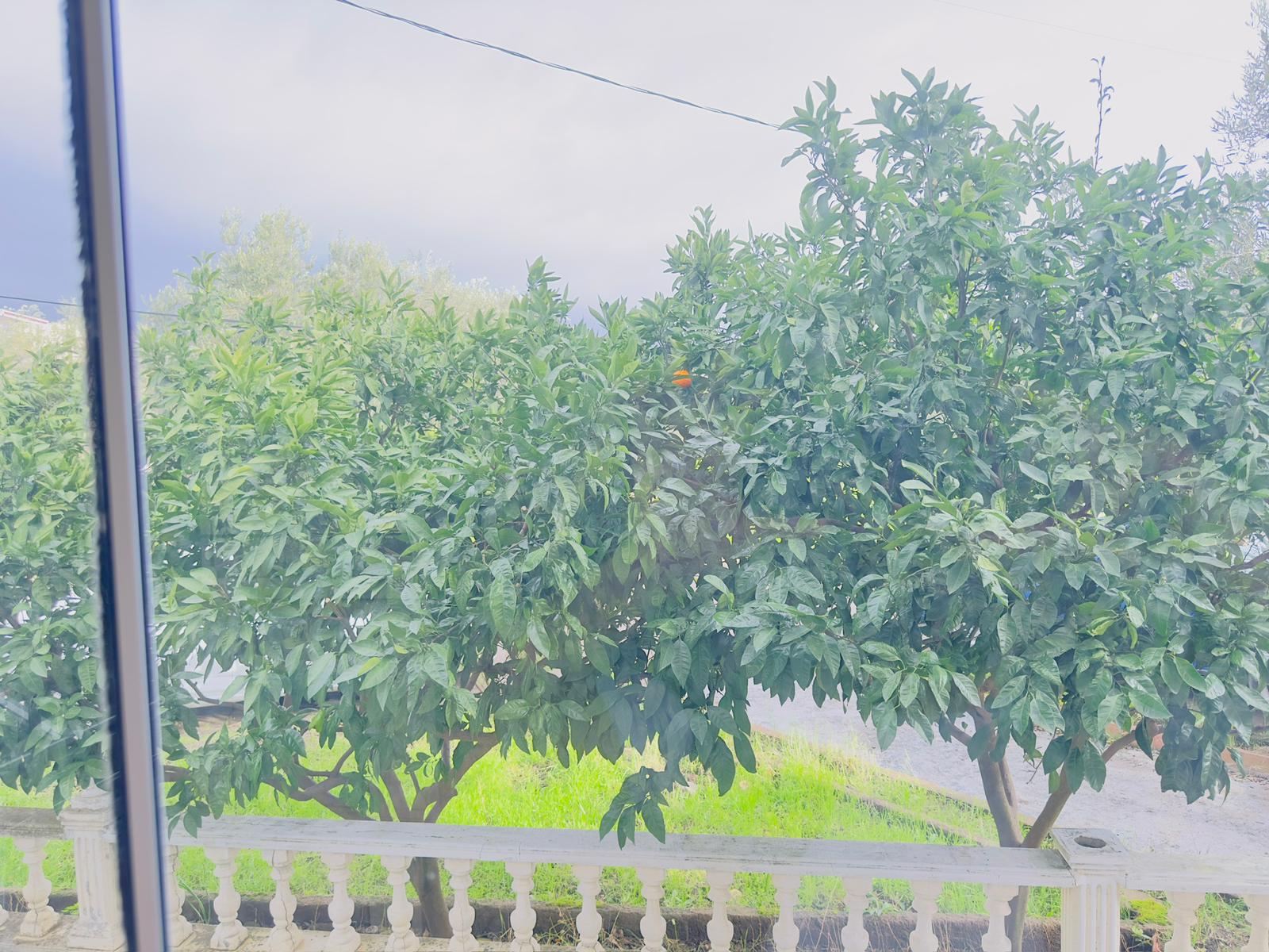 ALTINOLUK AVCILAR’DA DENİZE 200M 2+1 SATILIK DAİRE