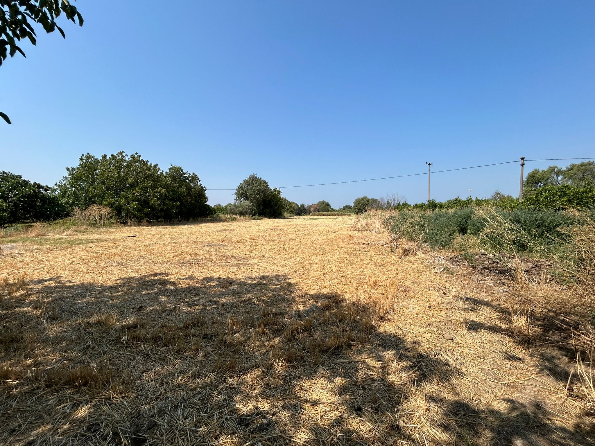 Adramis Termal Otel Arkasında 7,5 Dönüm Satılık Tarla