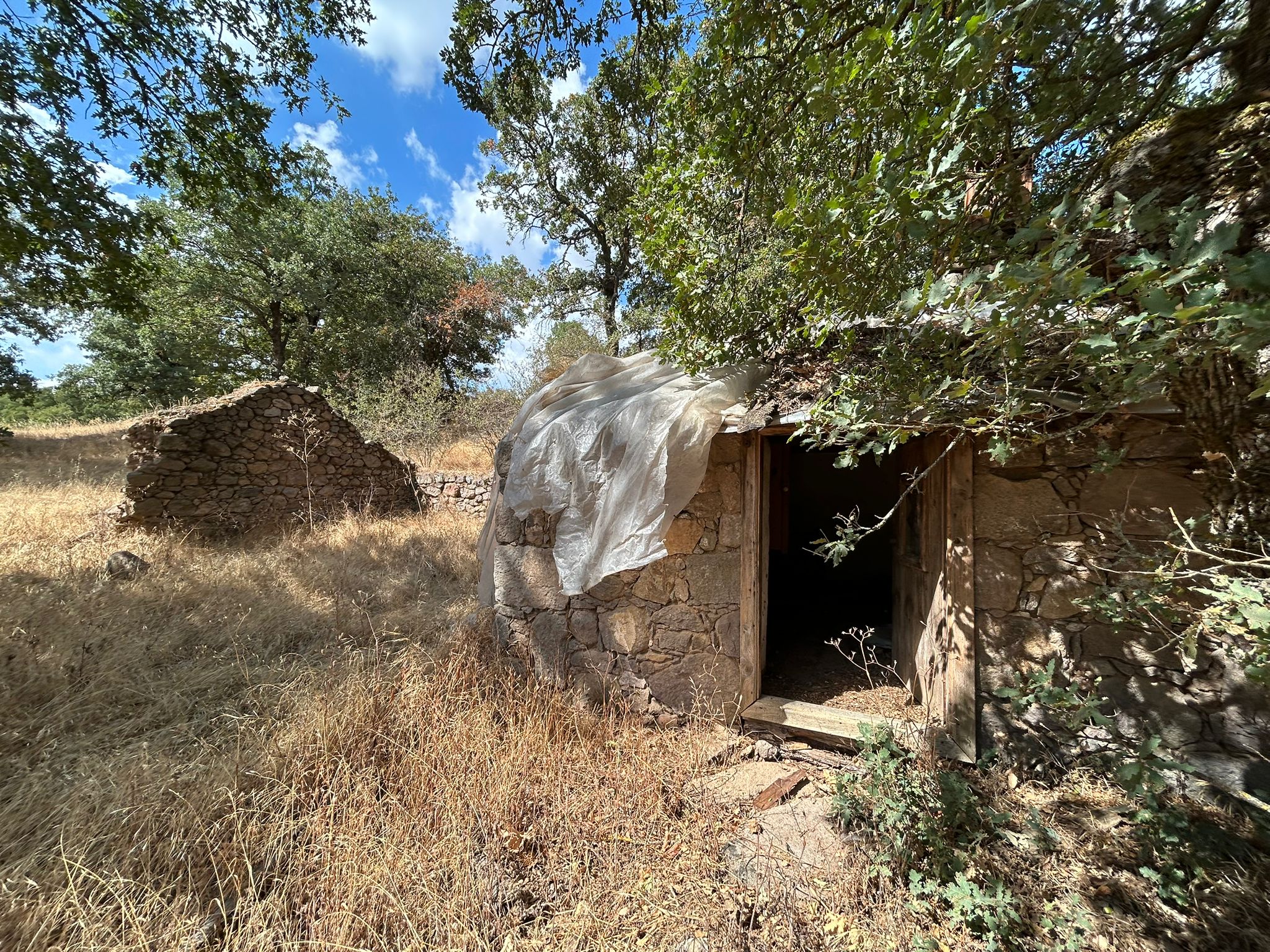 KÜÇÜKŞAPÇIDA SATILIK 3.3 DÖNÜM TARLA