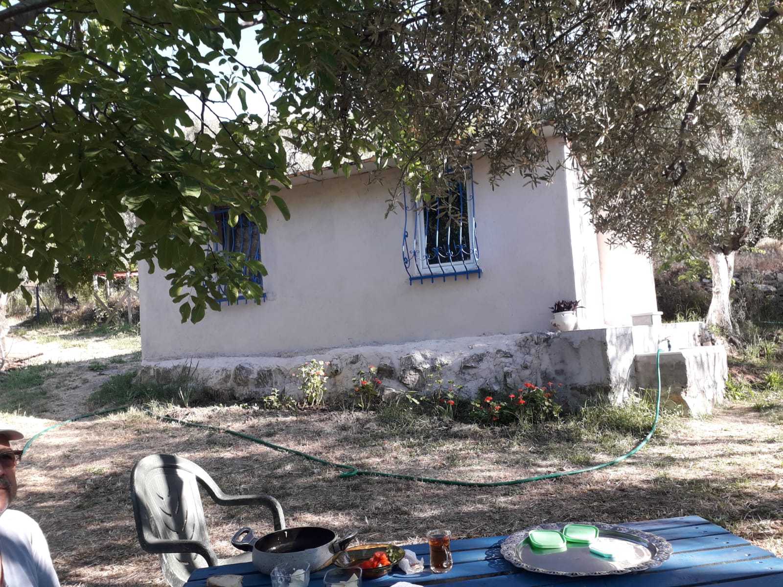 ALTINOLUK’TA HOBİ HABÇESİ ZEYTİNLİK