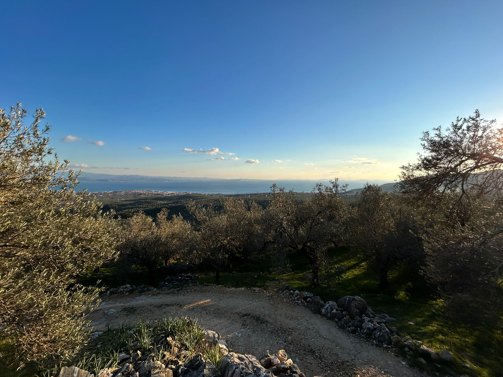 Arıtaşı 'nda Harika Konum Deniz Manzaralı 4,6 Dönüm Zeytinlik