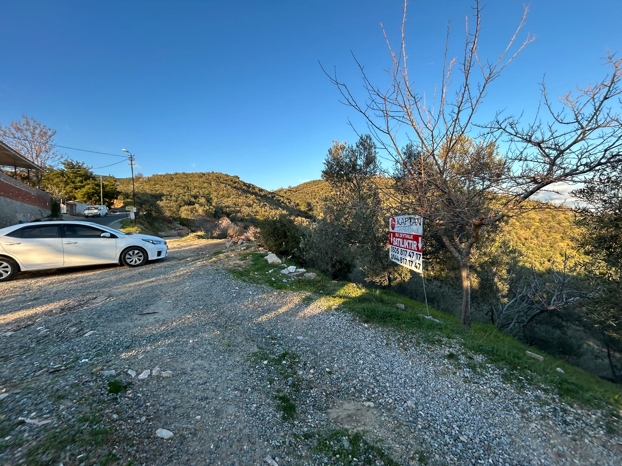 Arıtaşı 'nda Harika Konum Deniz Manzaralı 4,6 Dönüm Zeytinlik