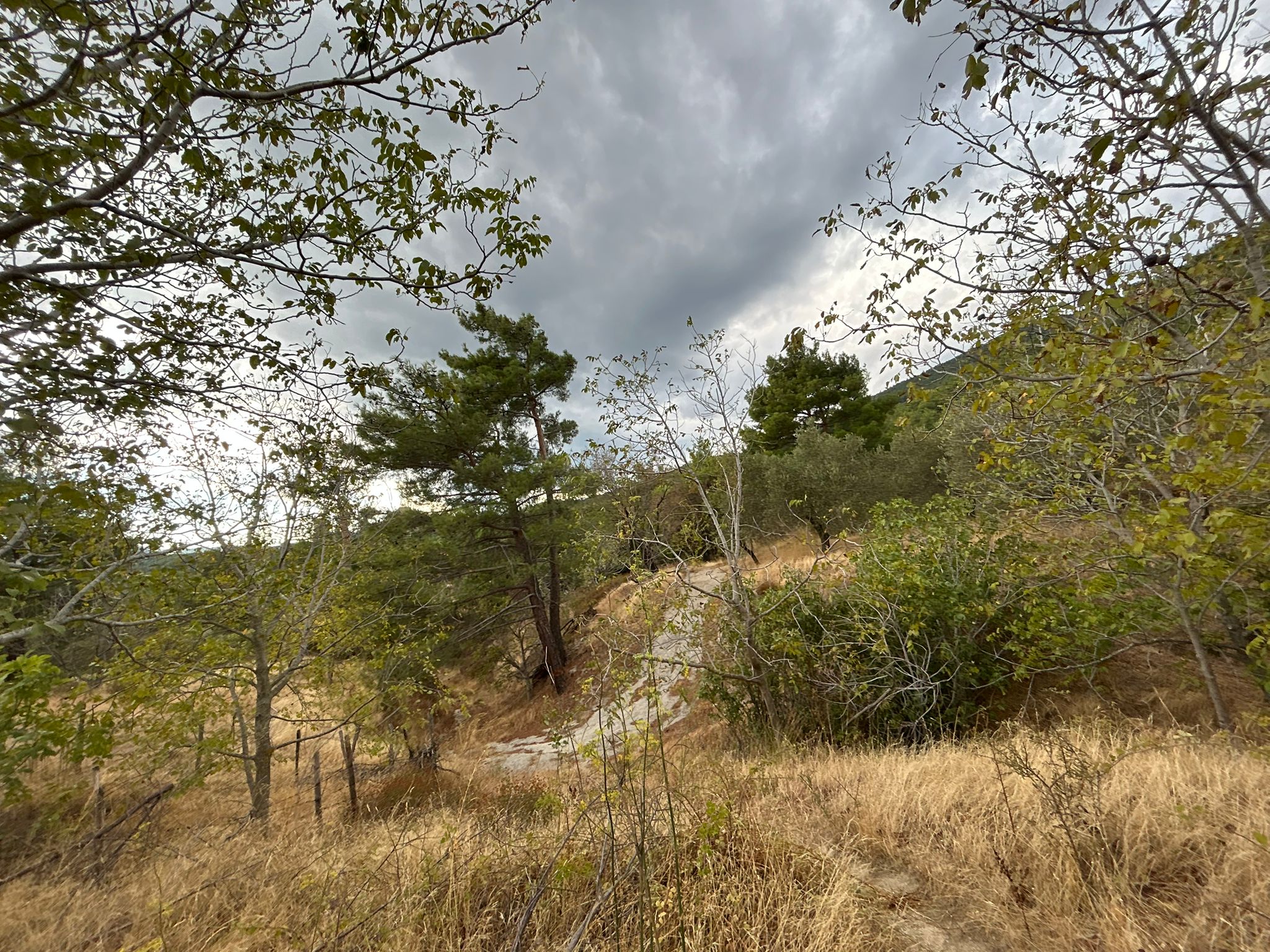 1 Dönüm Satılık Bahçe