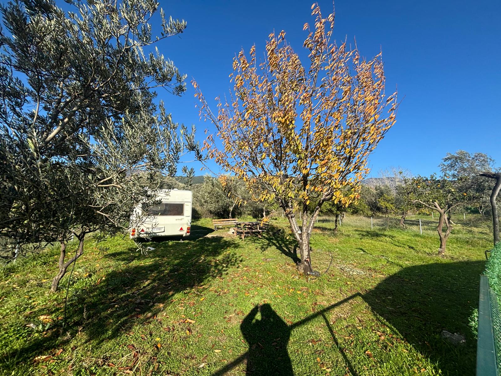 BALIKESİR EDREMİT KIZILKEÇİLİ’DE SATILIK 440 m² HOBİ BAHÇESİ