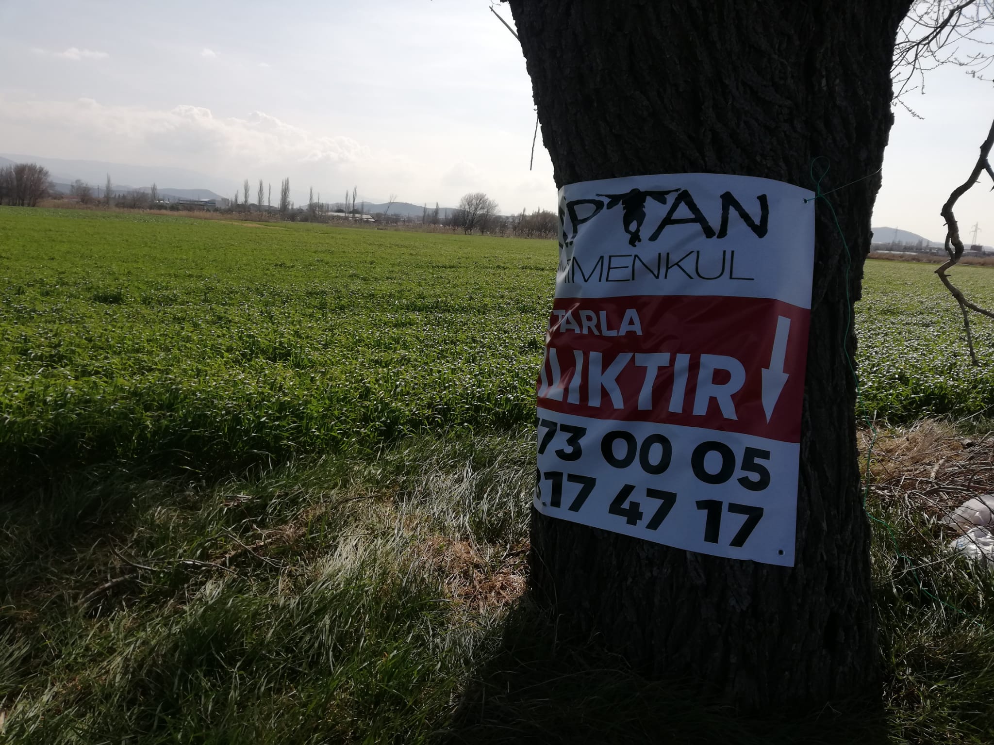 Geriş'te 15 Dönüm Satılık Tarla