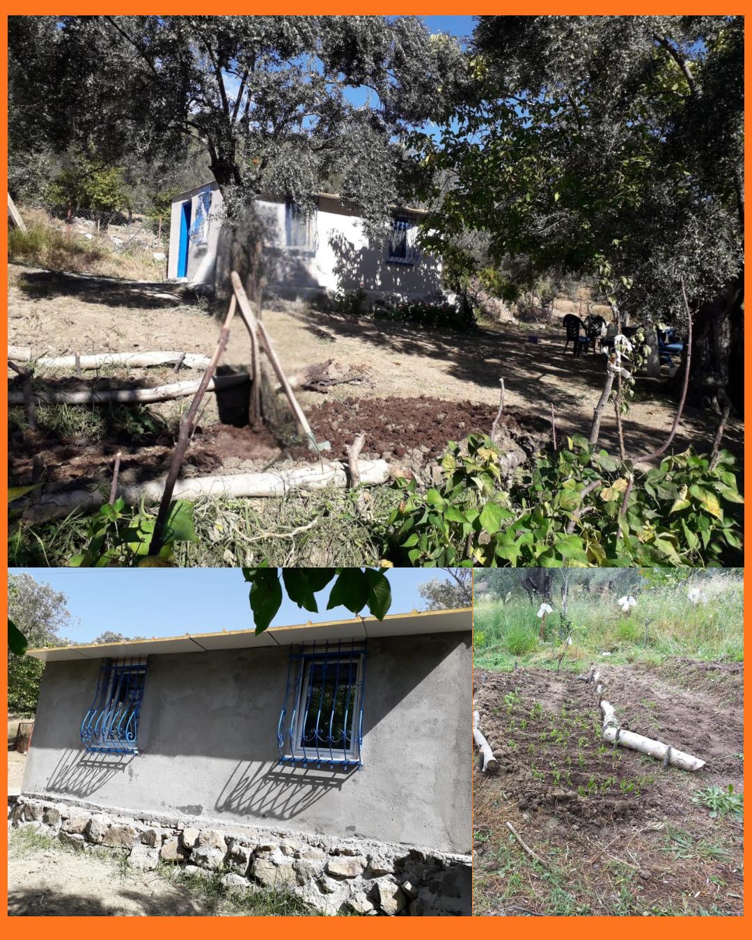 ALTINOLUK’TA HOBİ HABÇESİ ZEYTİNLİK