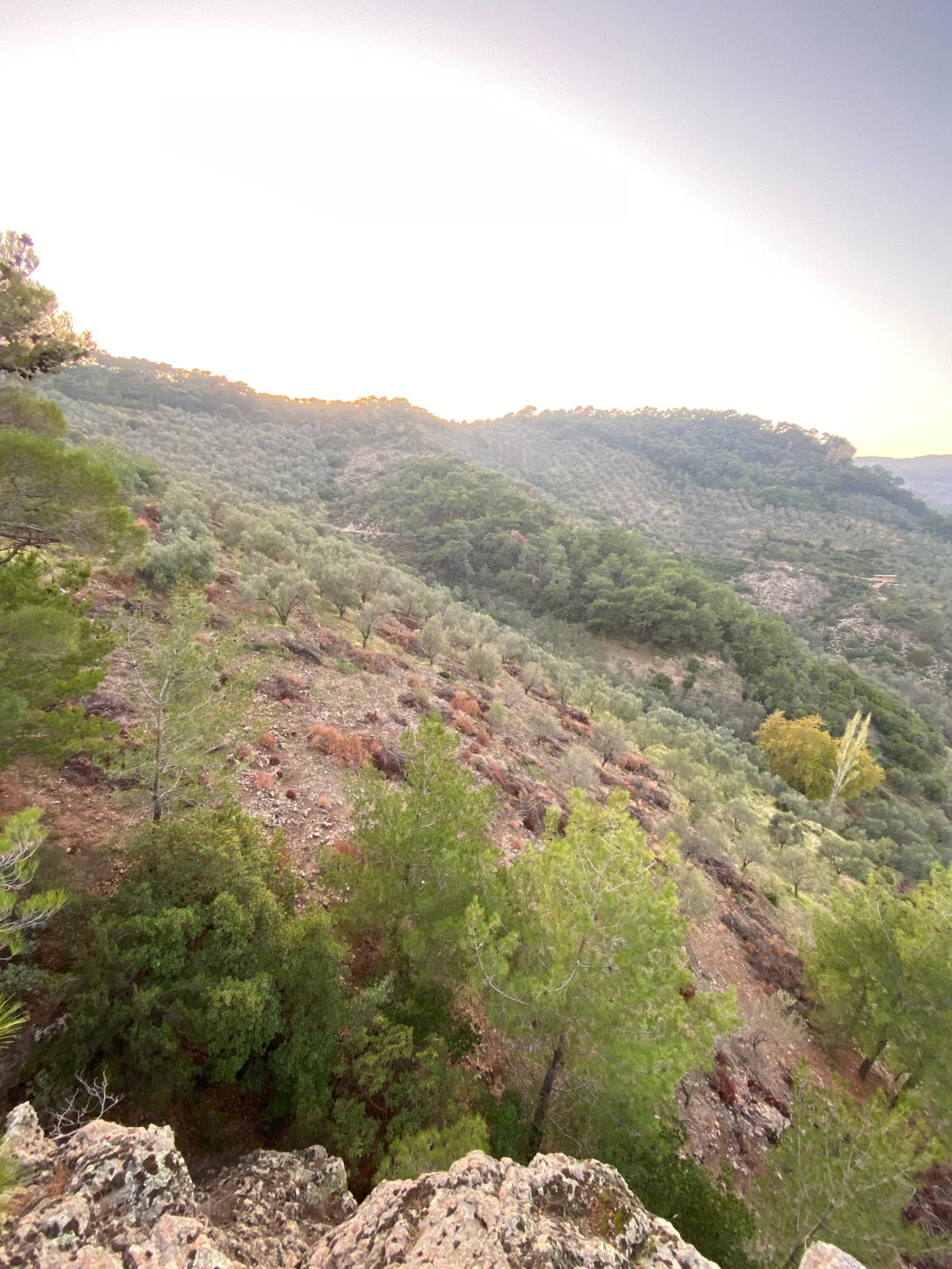 BALIKESİR EDREMİT ALTINOLUK’TA DENİZ MANZARALI 34 DÖNÜM SATILIK 2B ARAZİSİ