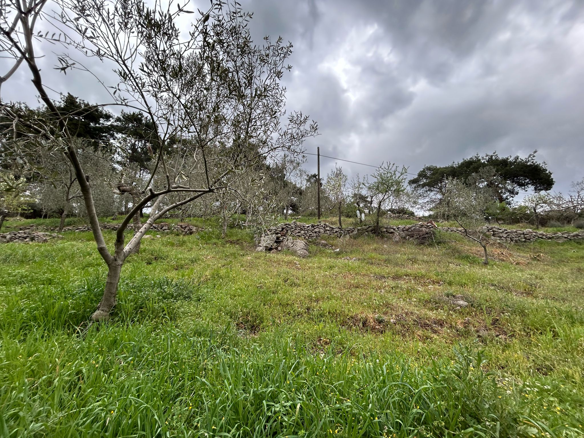Balıkesir Edremit Karayoluna Cepheli 4 Dönüm Tarla