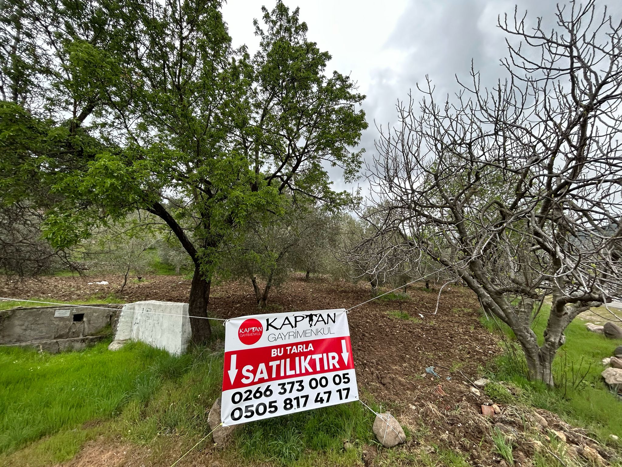 Balıkesir Edremit Karayoluna Cepheli 4 Dönüm Tarla