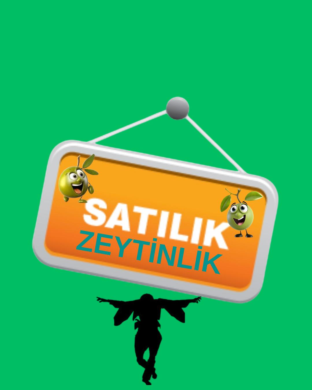 PINARBAŞI MAHALLESİ'NDE 4,3 DÖNÜM SATILIK ZEYTİNLİK