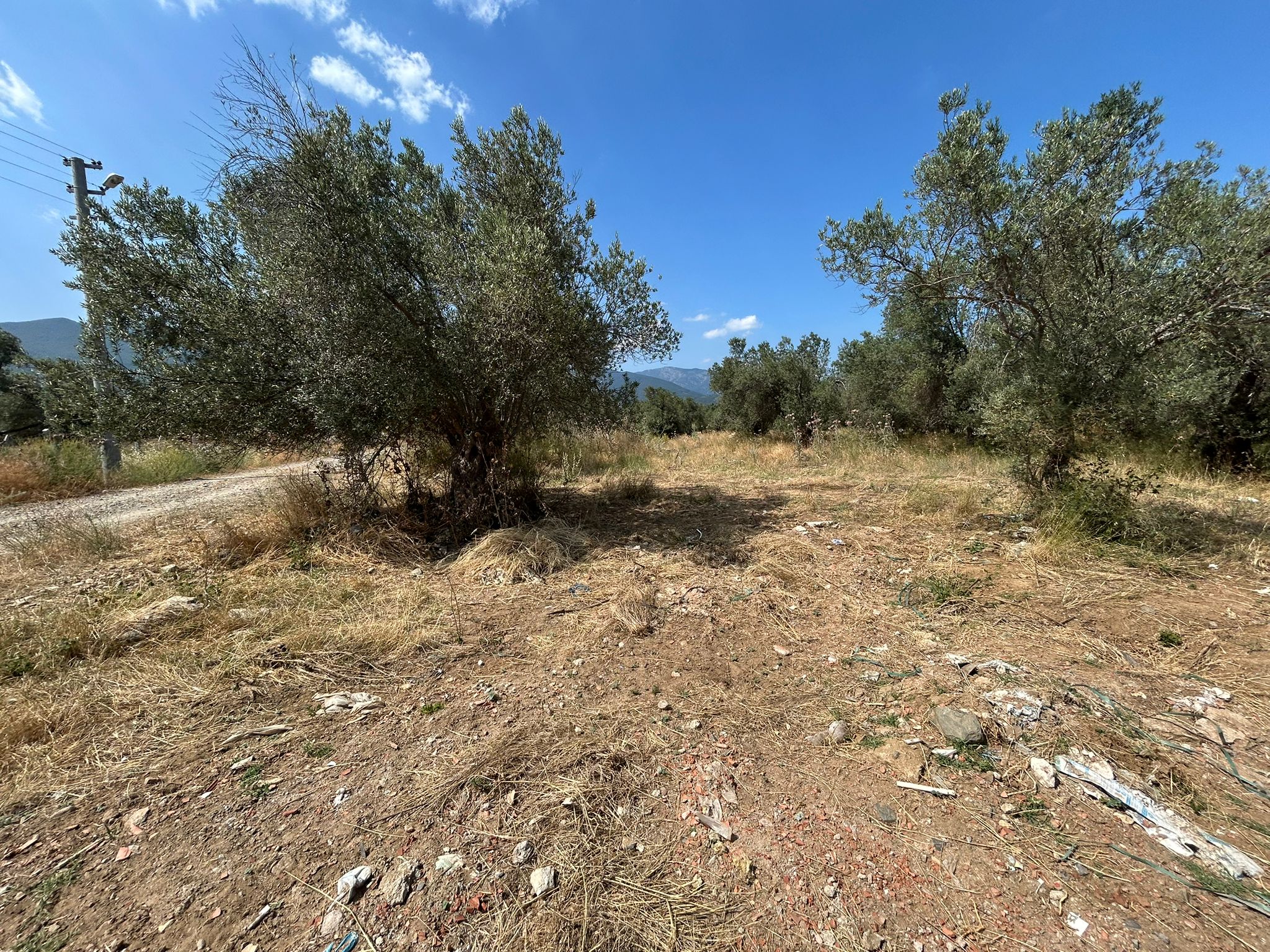 Güre 'de Satılık 506 M2 Denize 600 M. Mesafe Arsa