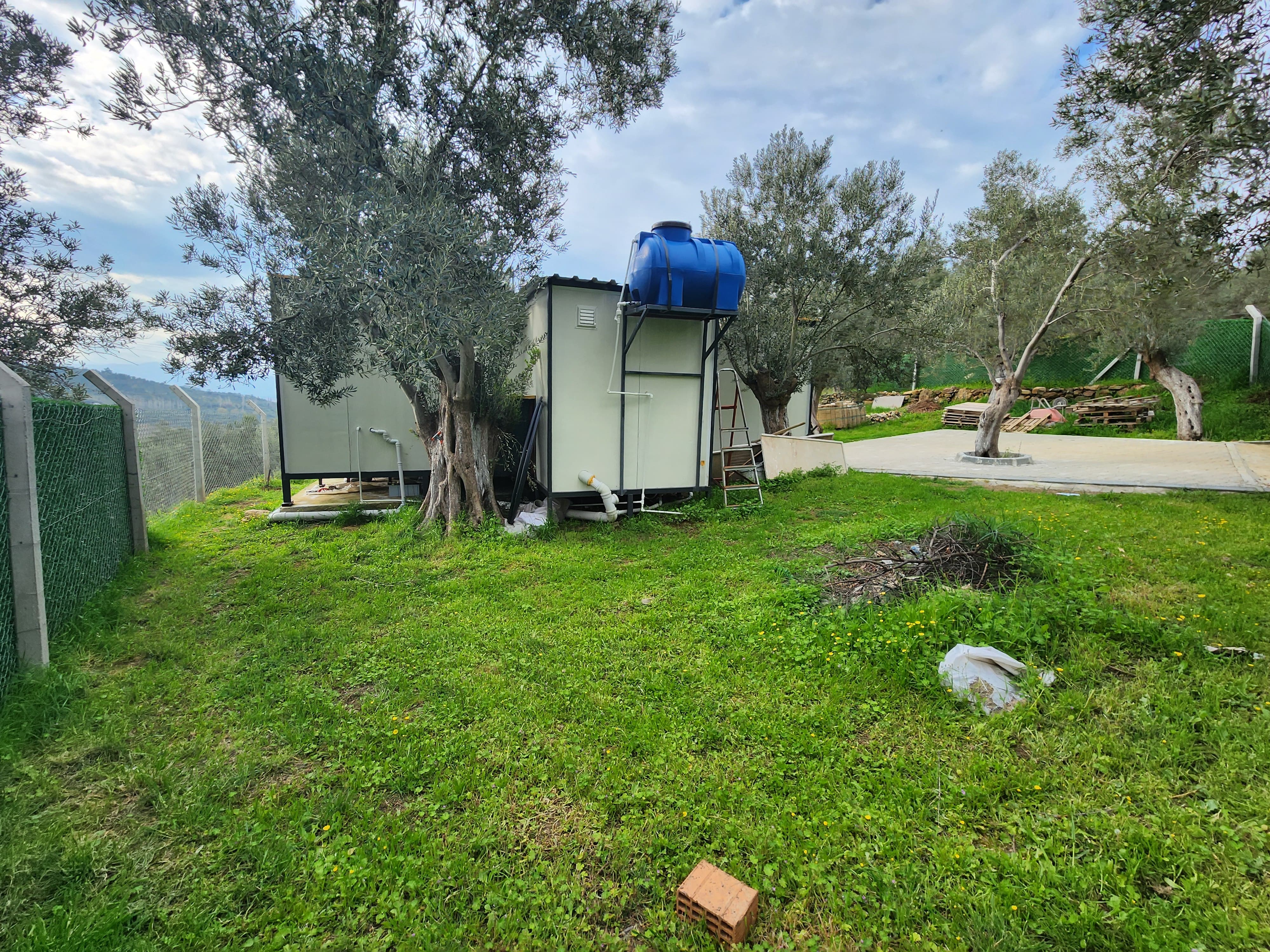 ZEYTİNLİ DE İÇİNDE EVİ OLAN SUYU VE ELEKTRİĞİ BULUNAN SATILIK ZEYTİNLİK